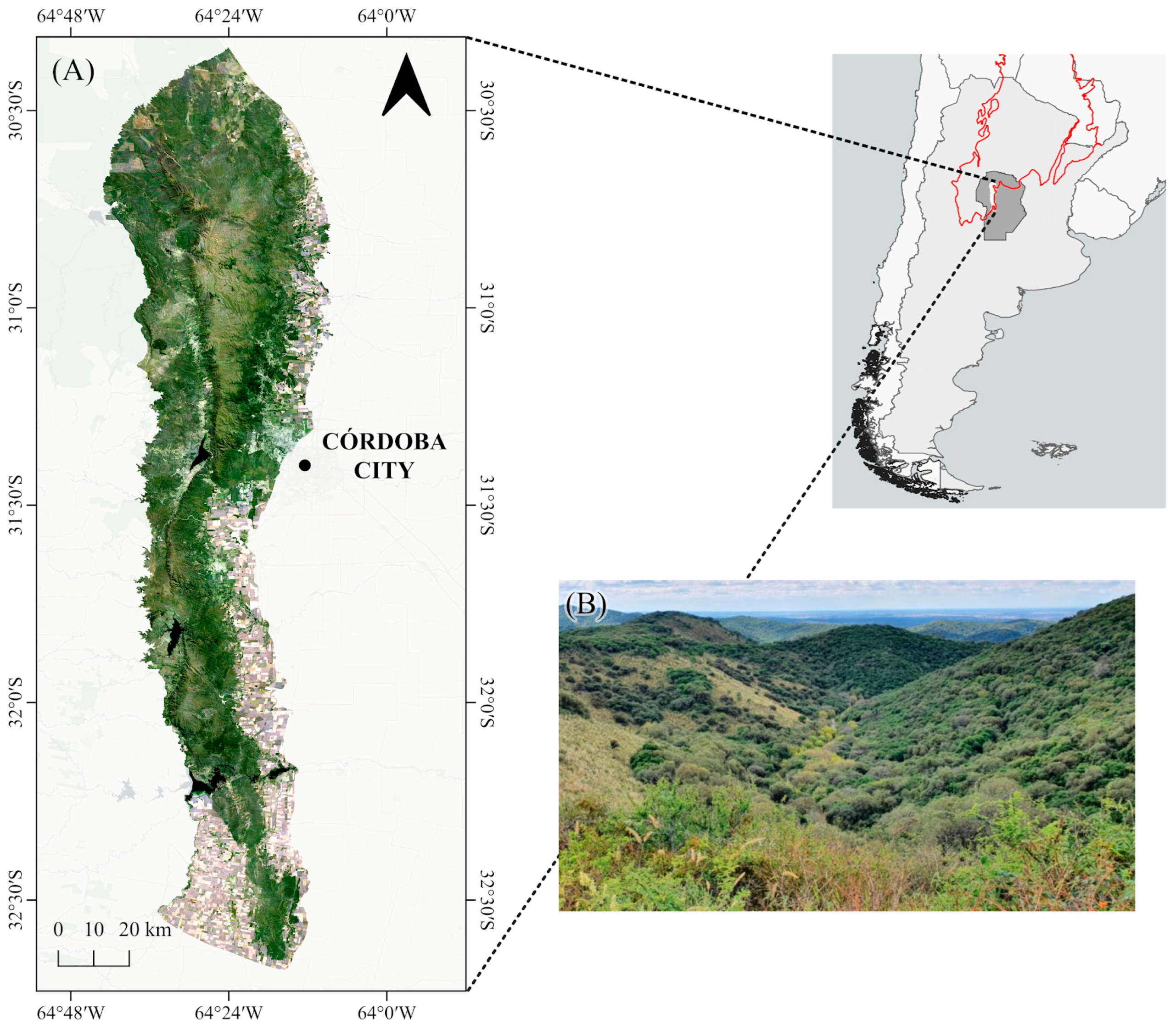 Sustainability 17 06874 g001