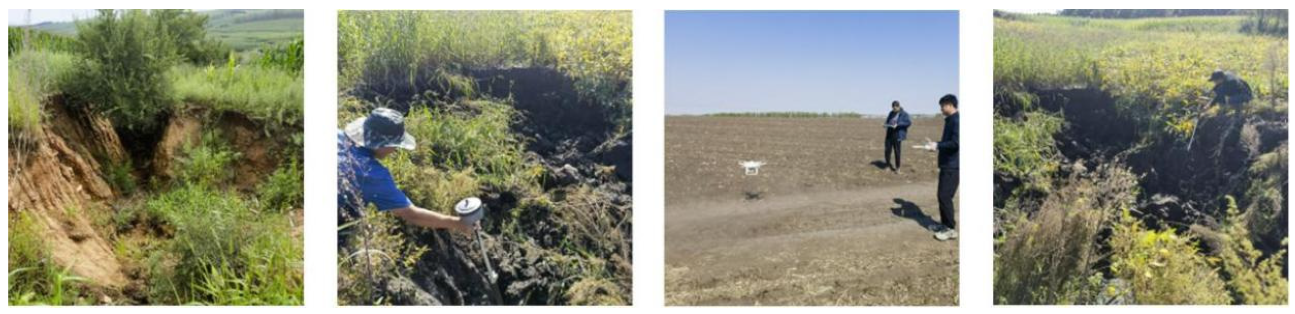 Sustainability 17 06966 g002