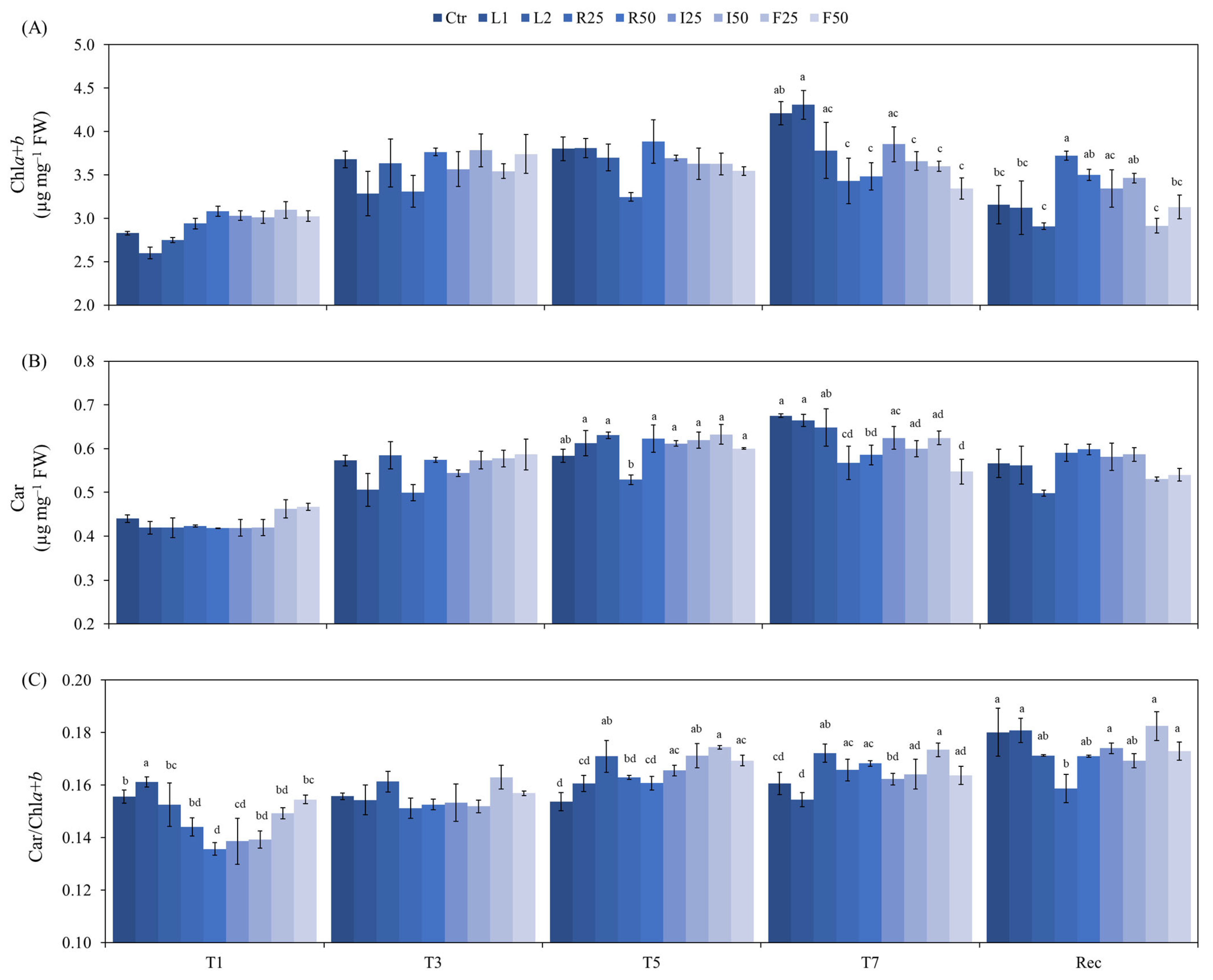 Sustainability 17 06976 g002