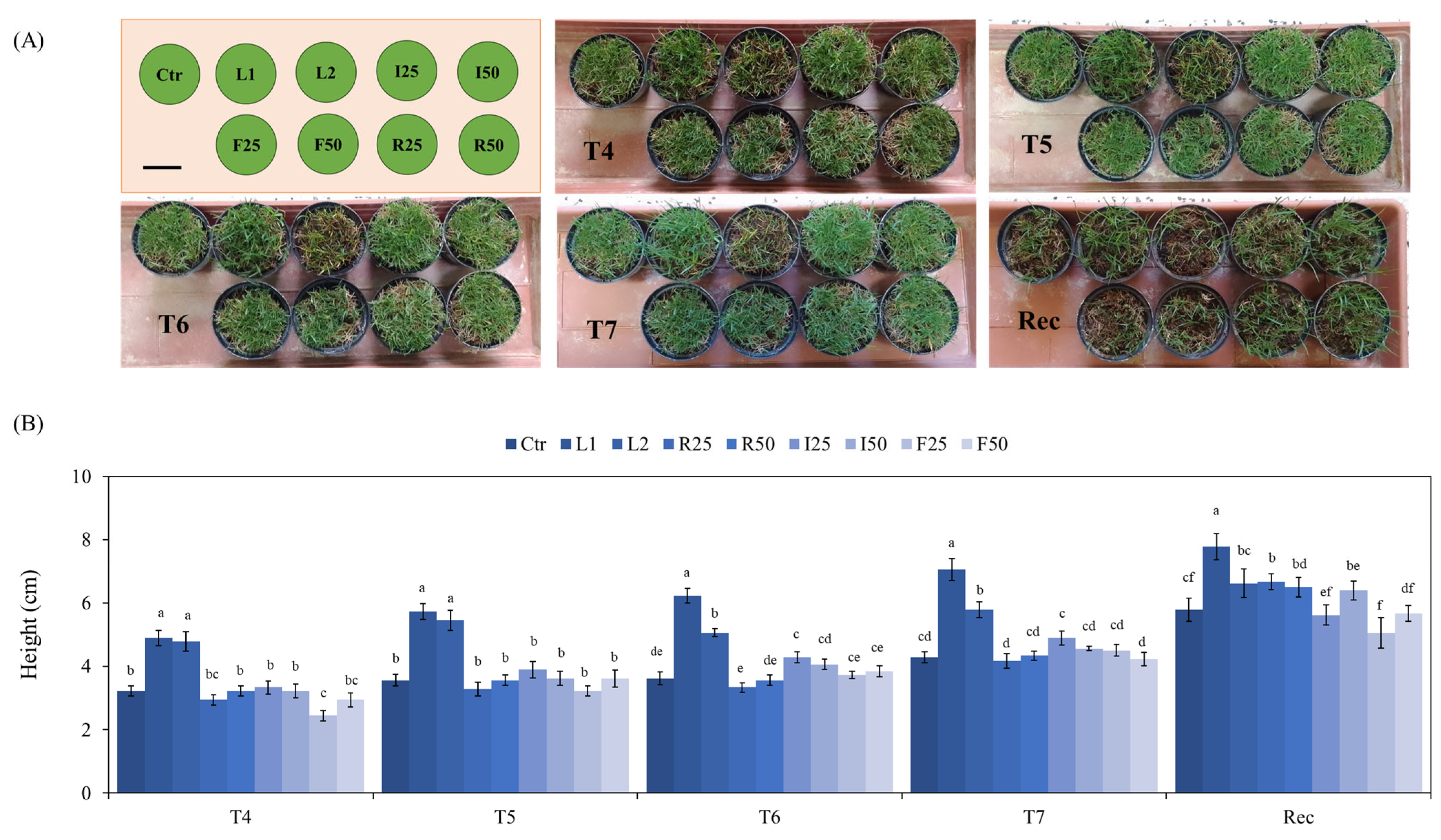 Sustainability 17 06976 g004