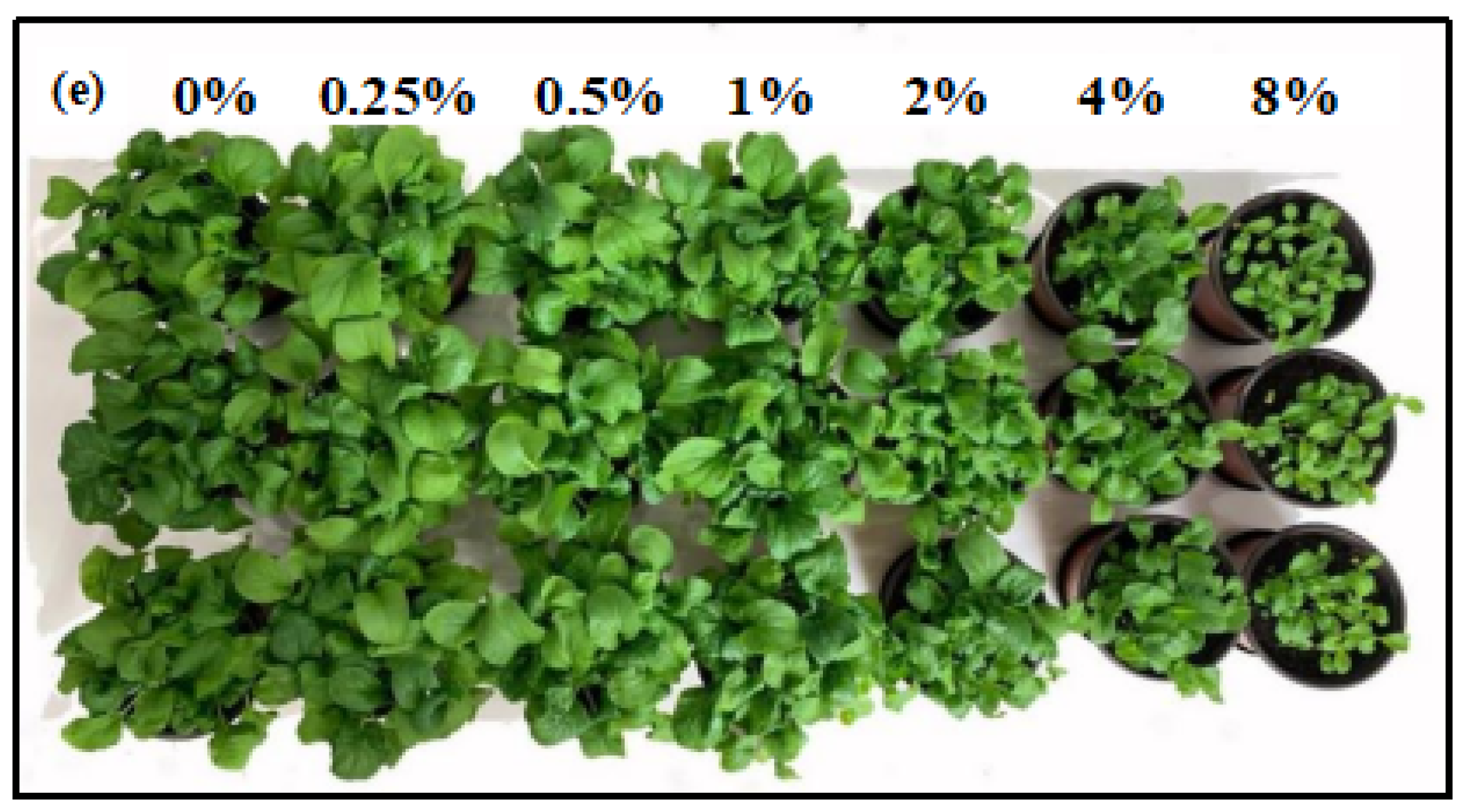 Sustainability 17 06979 g003b