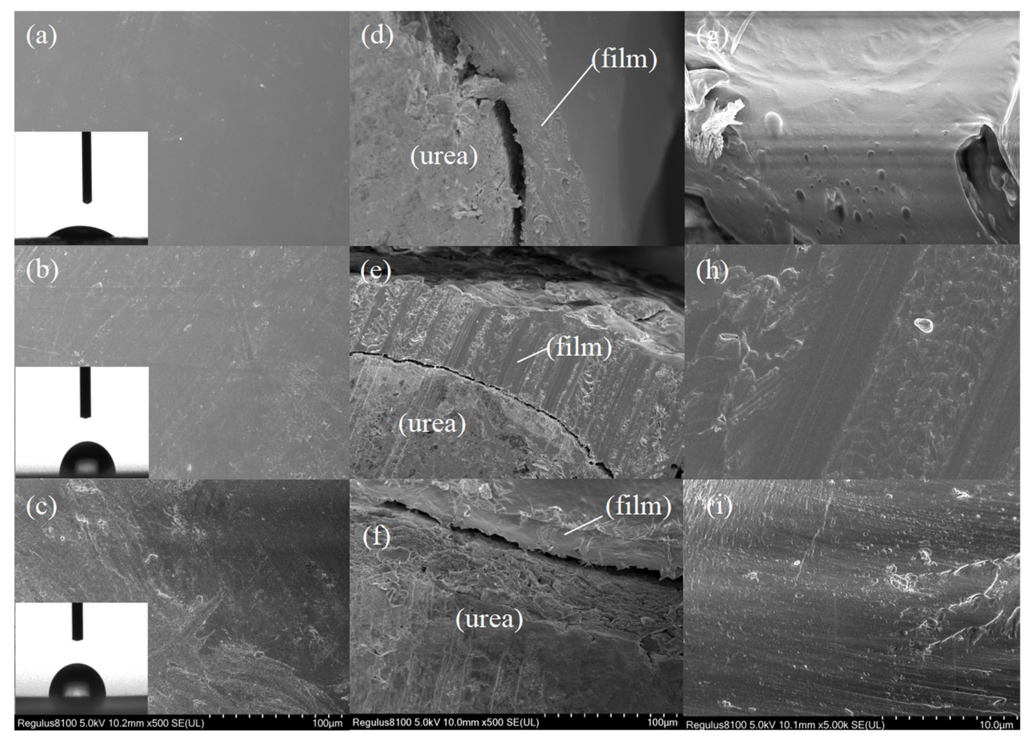 Sustainability 17 06987 g005