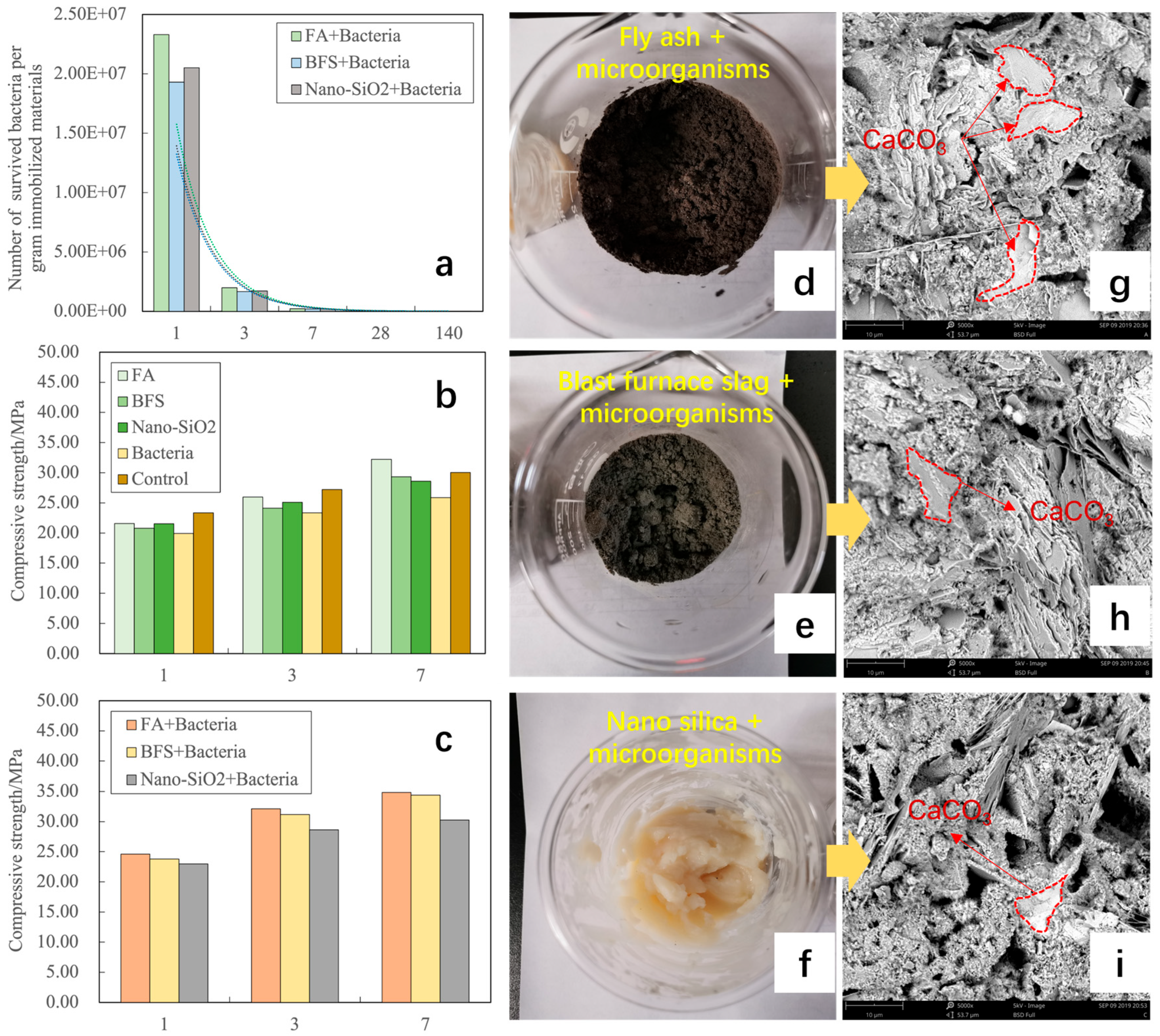 Sustainability 17 06989 g002