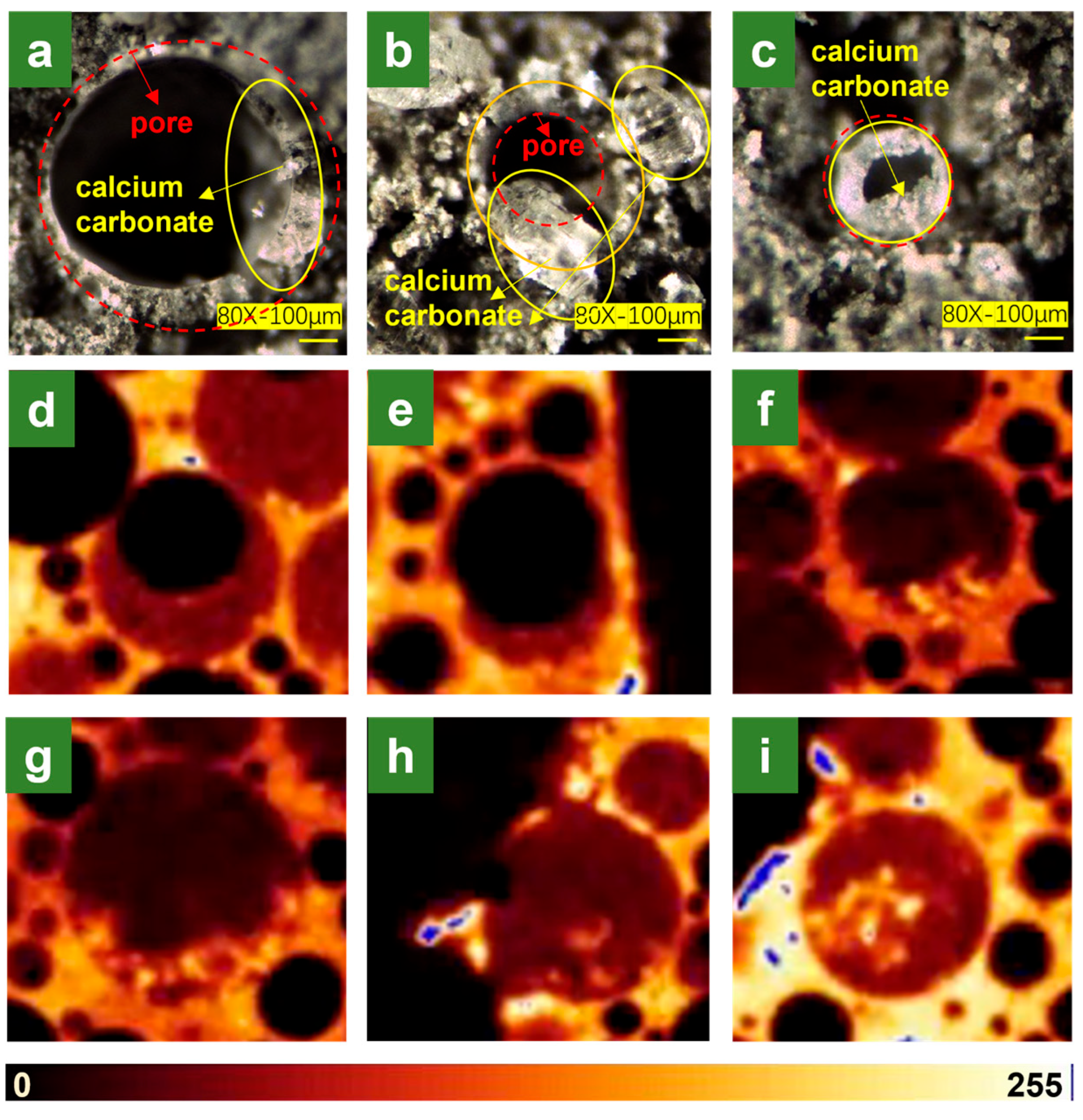 Sustainability 17 06989 g008