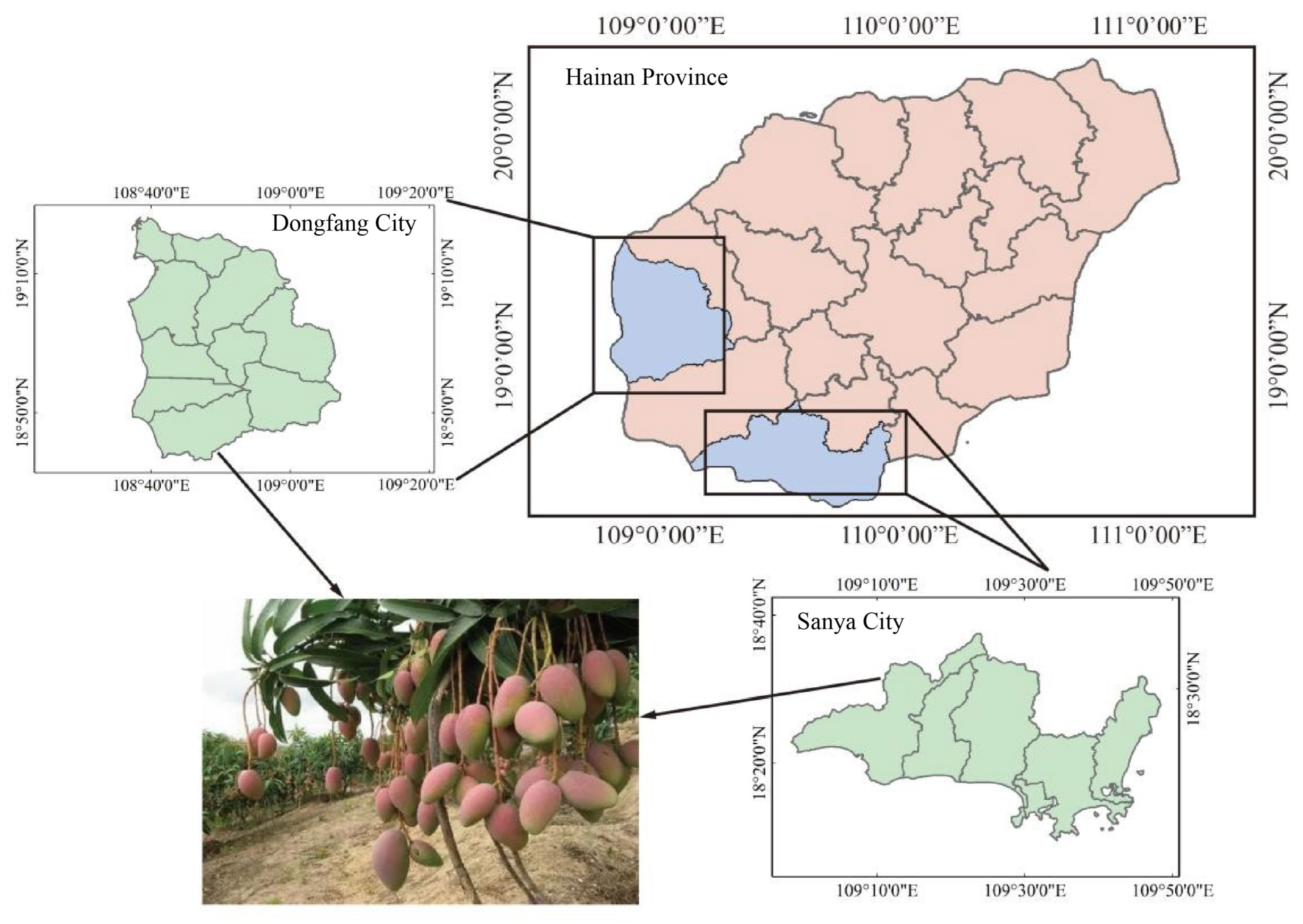 Sustainability 17 07030 g001