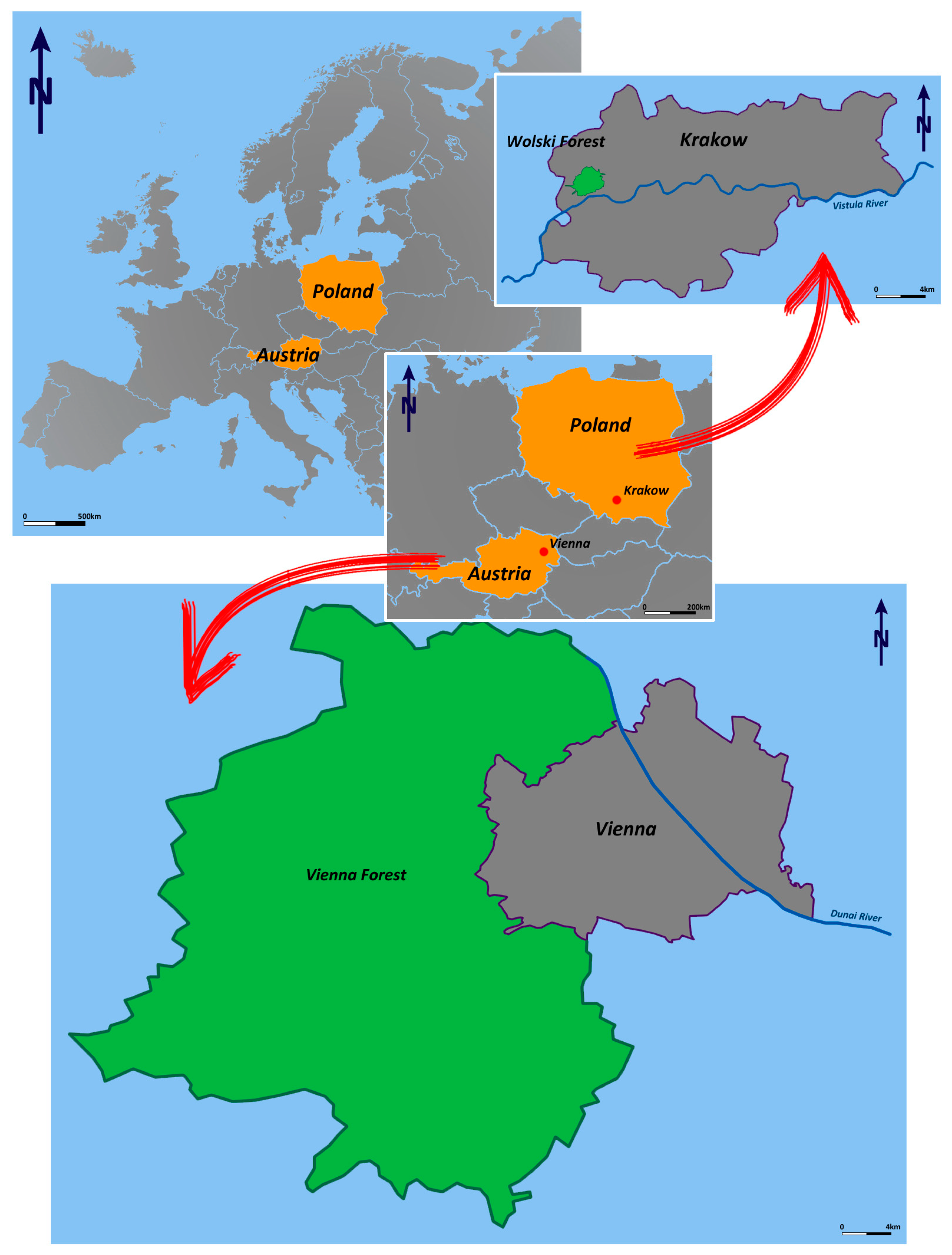 Sustainability 17 07042 g001 Sustainability 17 07042 g001