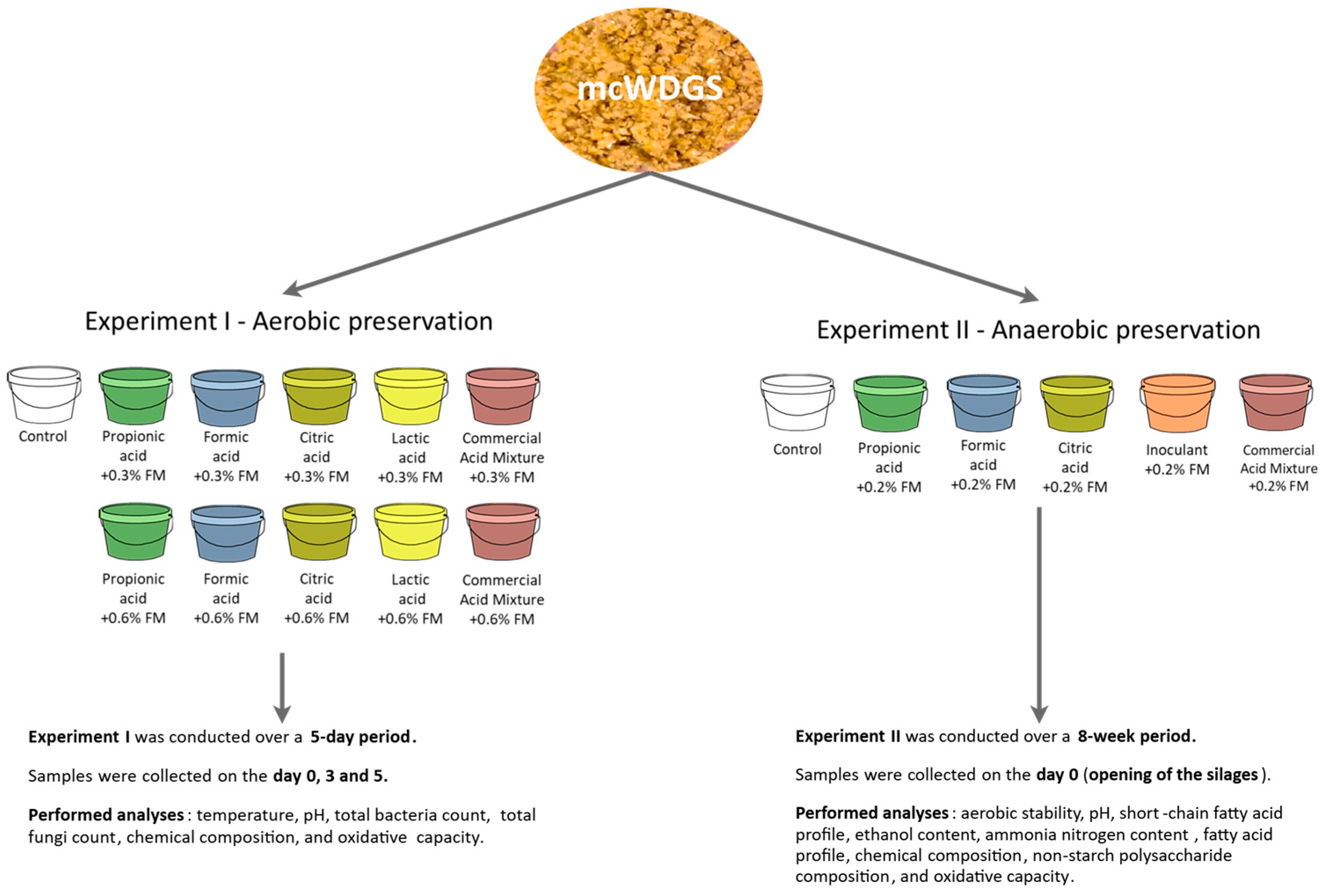 Sustainability 17 07097 g001