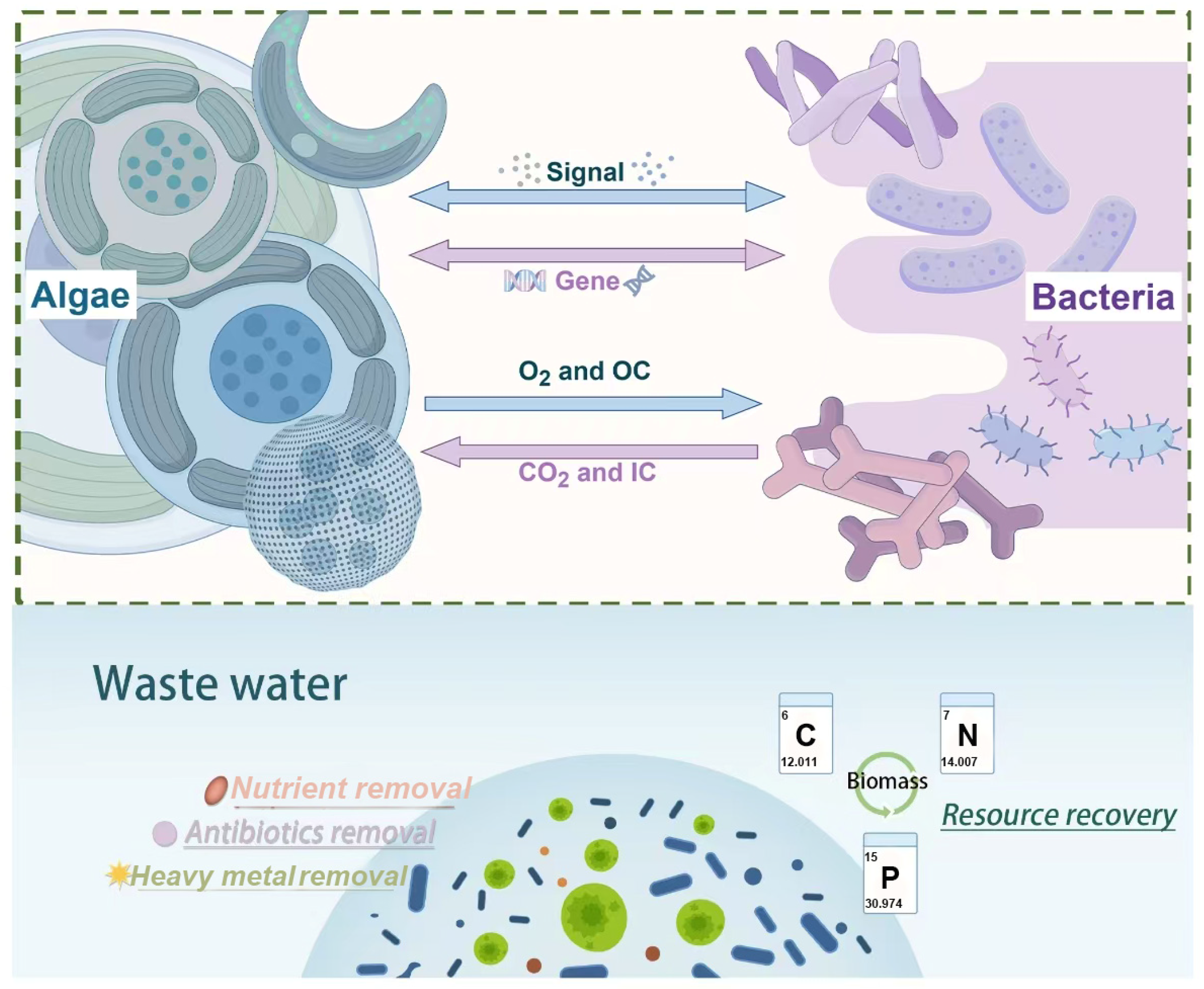 Sustainability 17 07104 g001 Sustainability 17 07104 g001