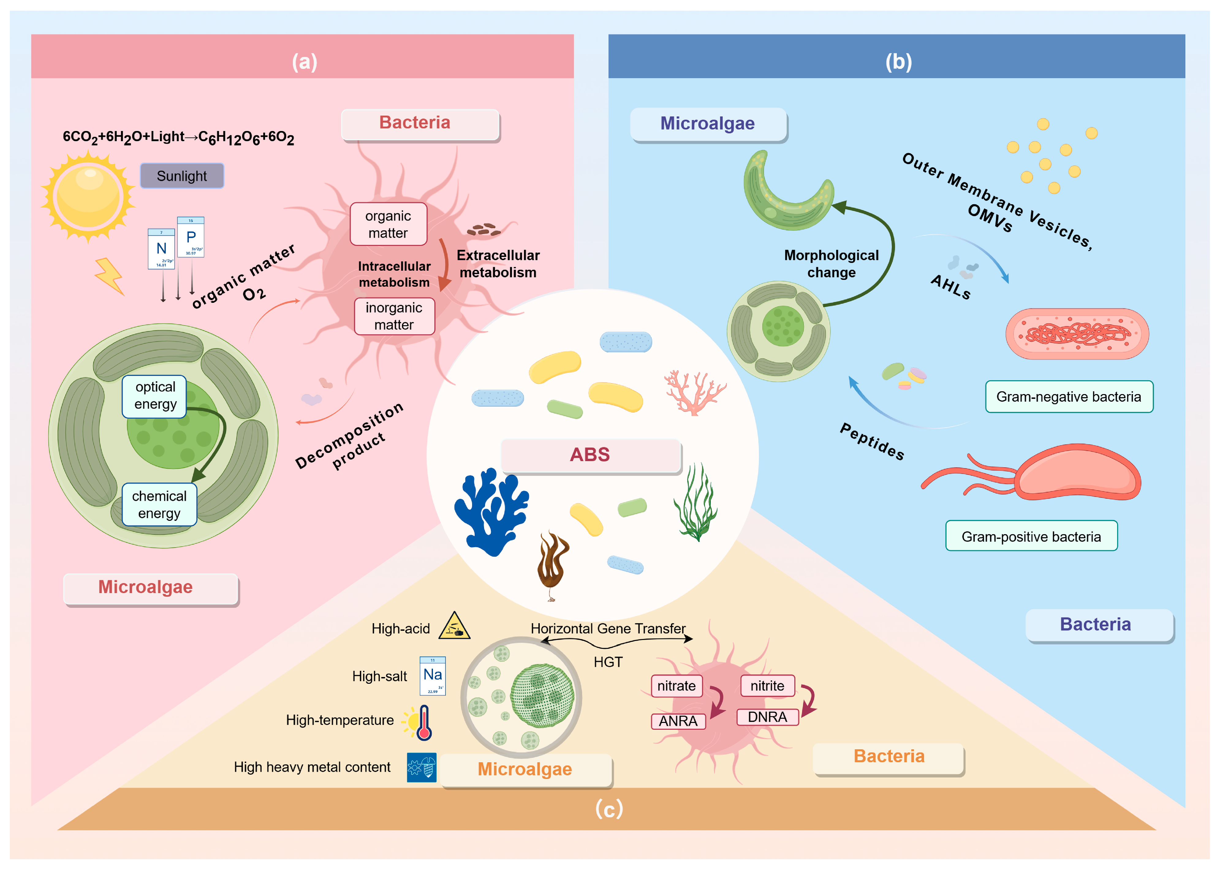 Sustainability 17 07104 g002 Sustainability 17 07104 g002