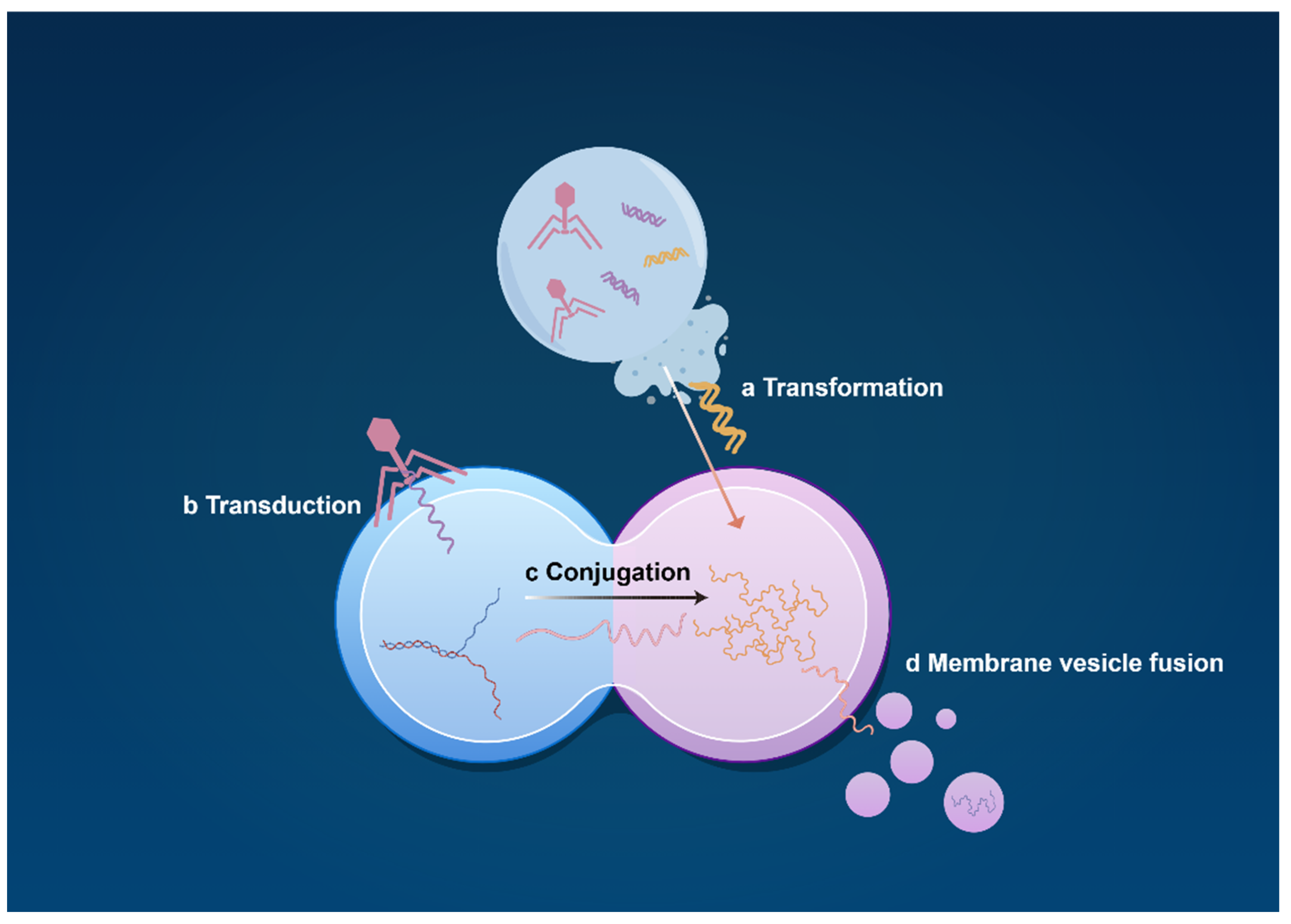 Sustainability 17 07104 g003 Sustainability 17 07104 g003