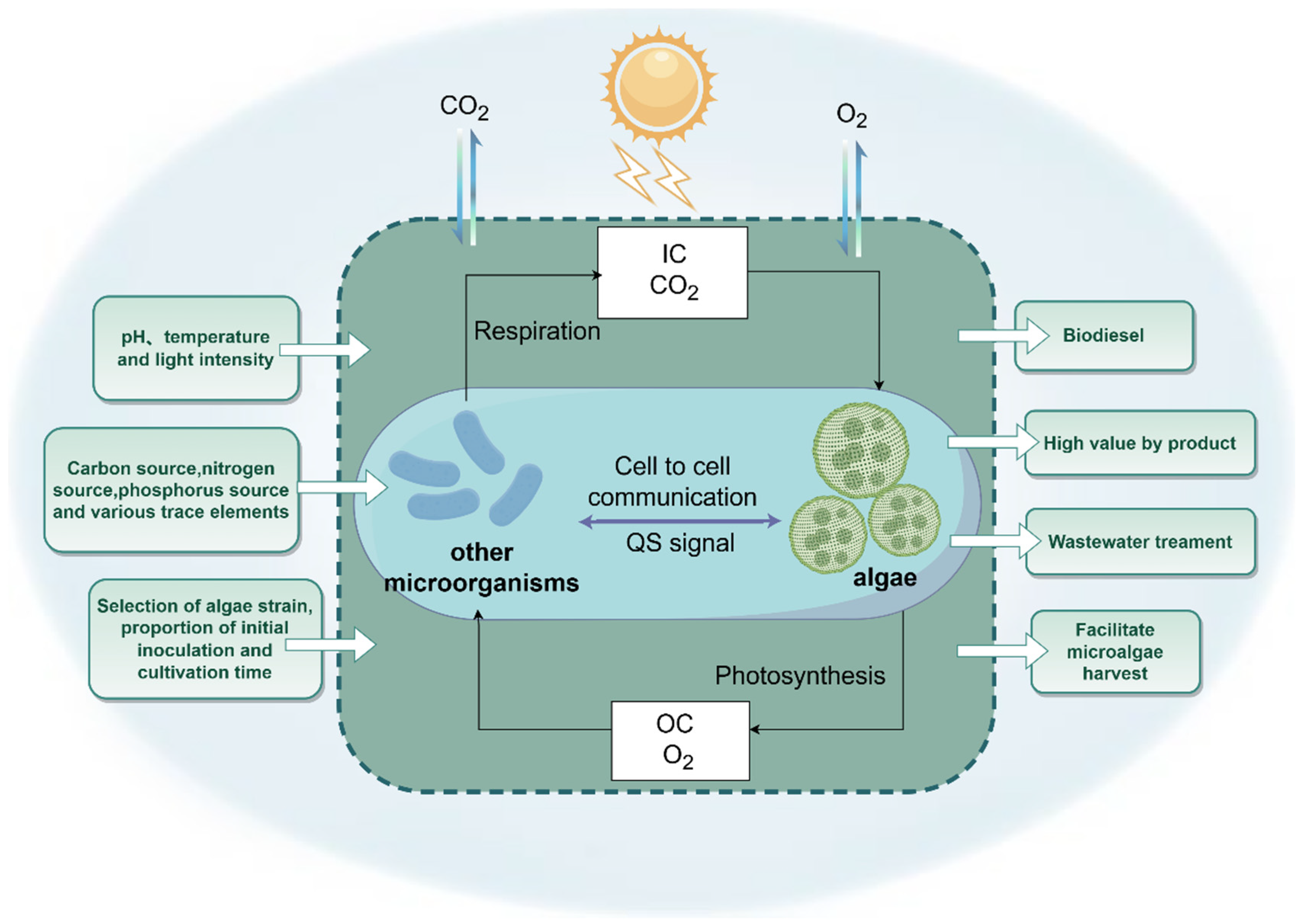 Sustainability 17 07104 g004 Sustainability 17 07104 g004