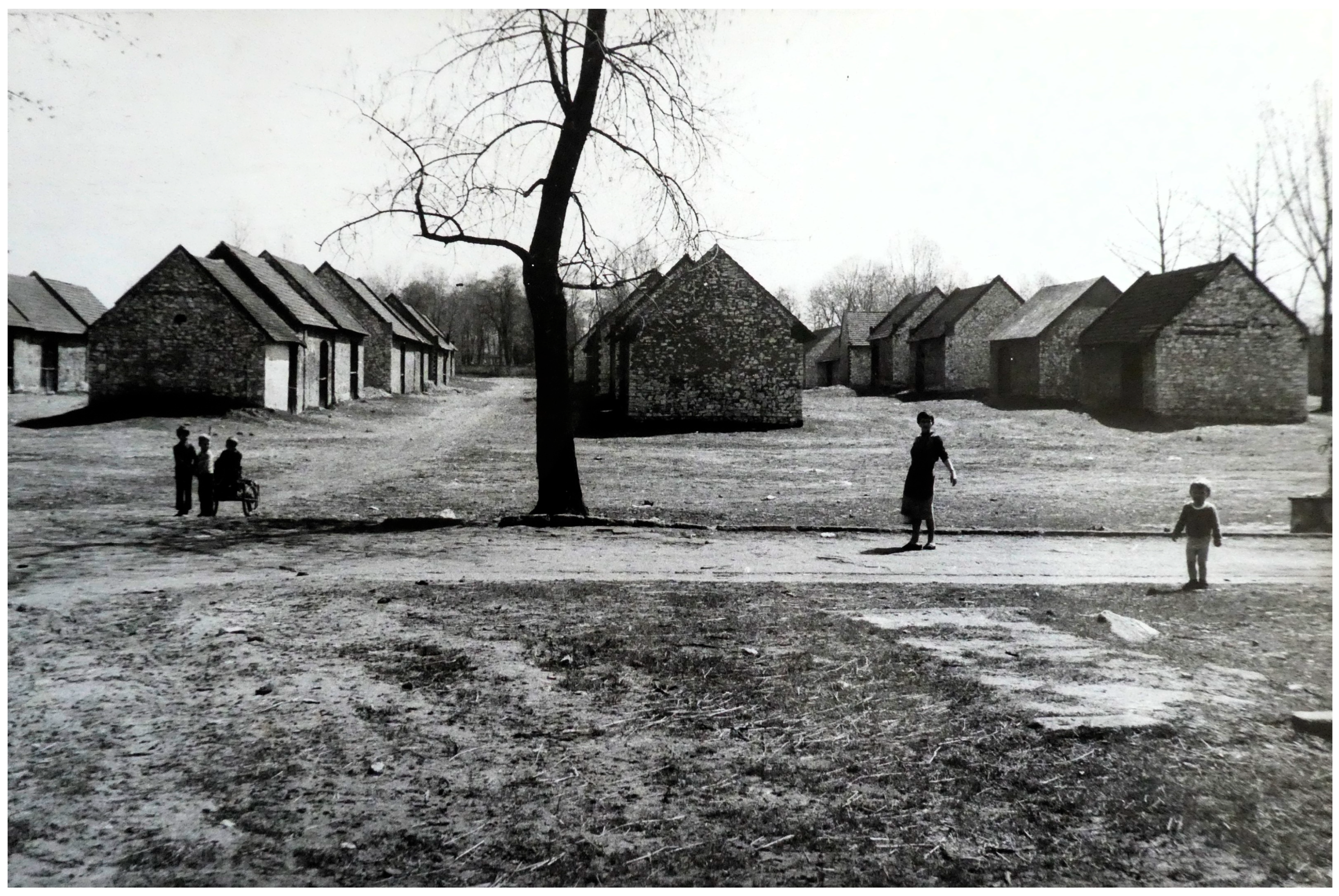 Sustainability 17 07166 g006 Sustainability 17 07166 g006