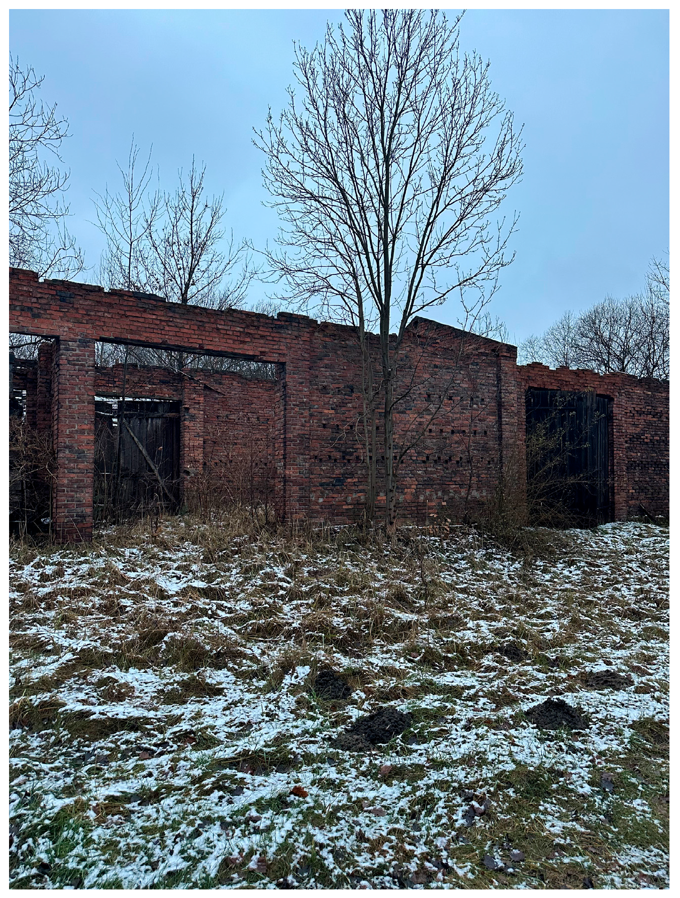 Sustainability 17 07166 g017 Sustainability 17 07166 g017