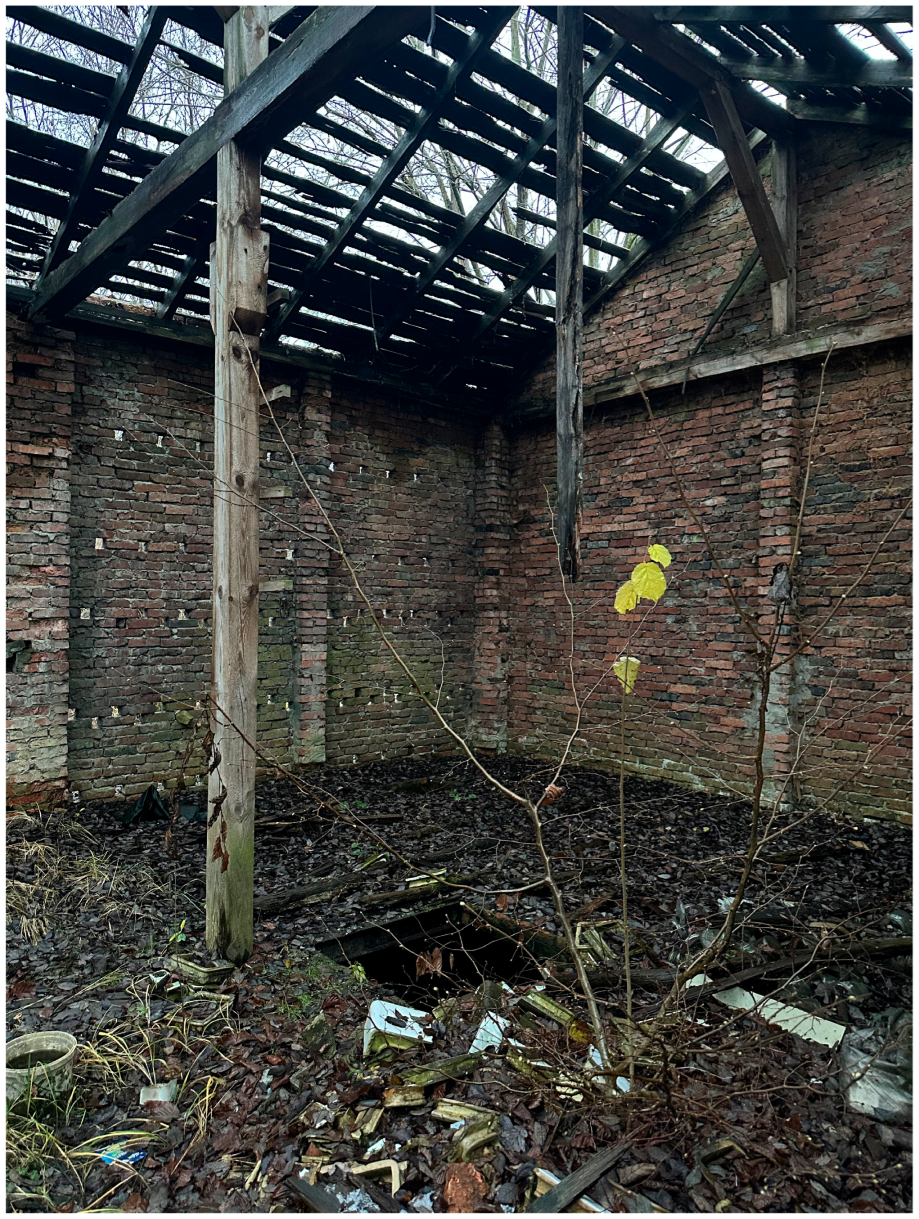 Sustainability 17 07166 g019 Sustainability 17 07166 g019