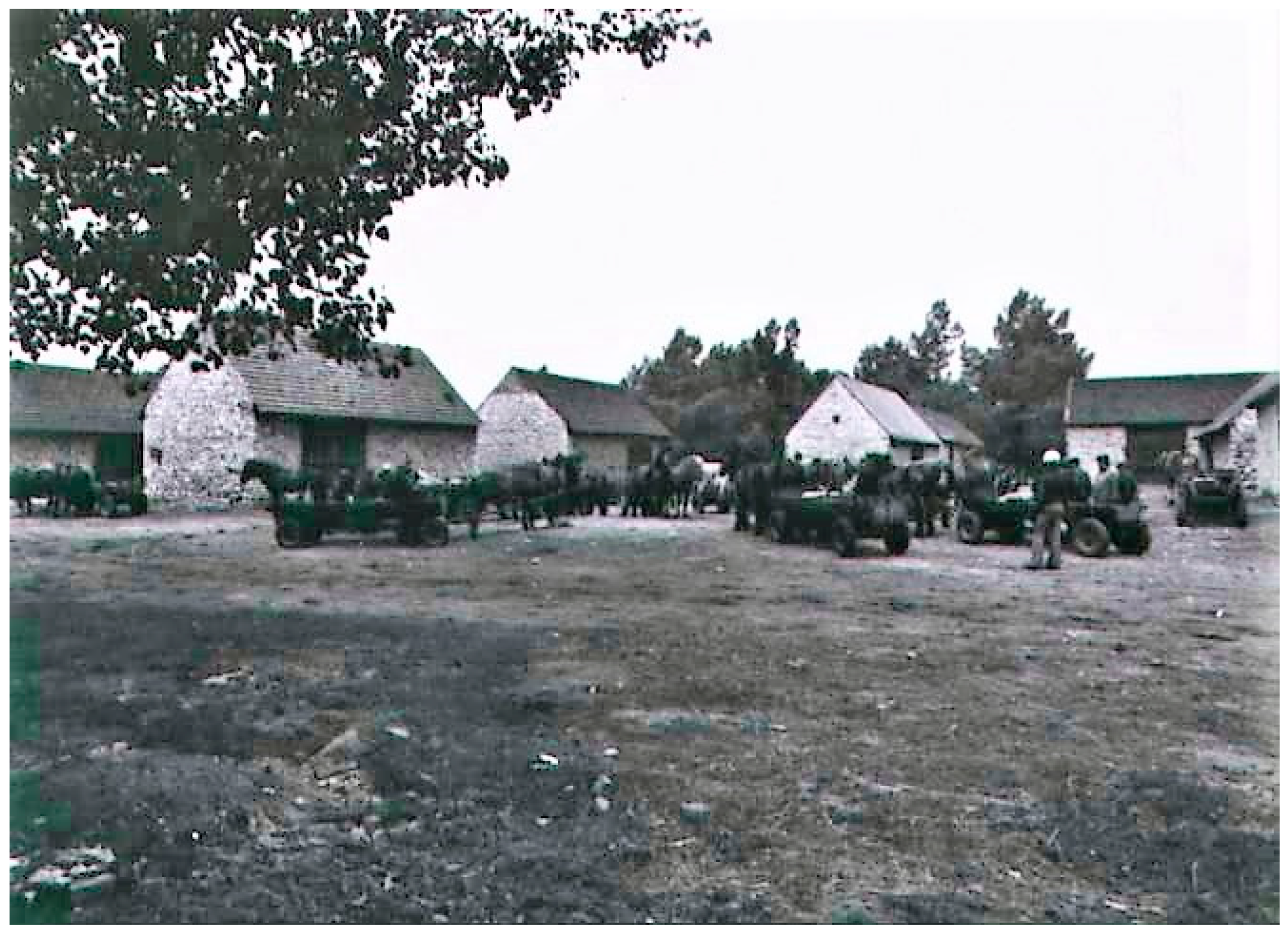 Sustainability 17 07166 g020 Sustainability 17 07166 g020