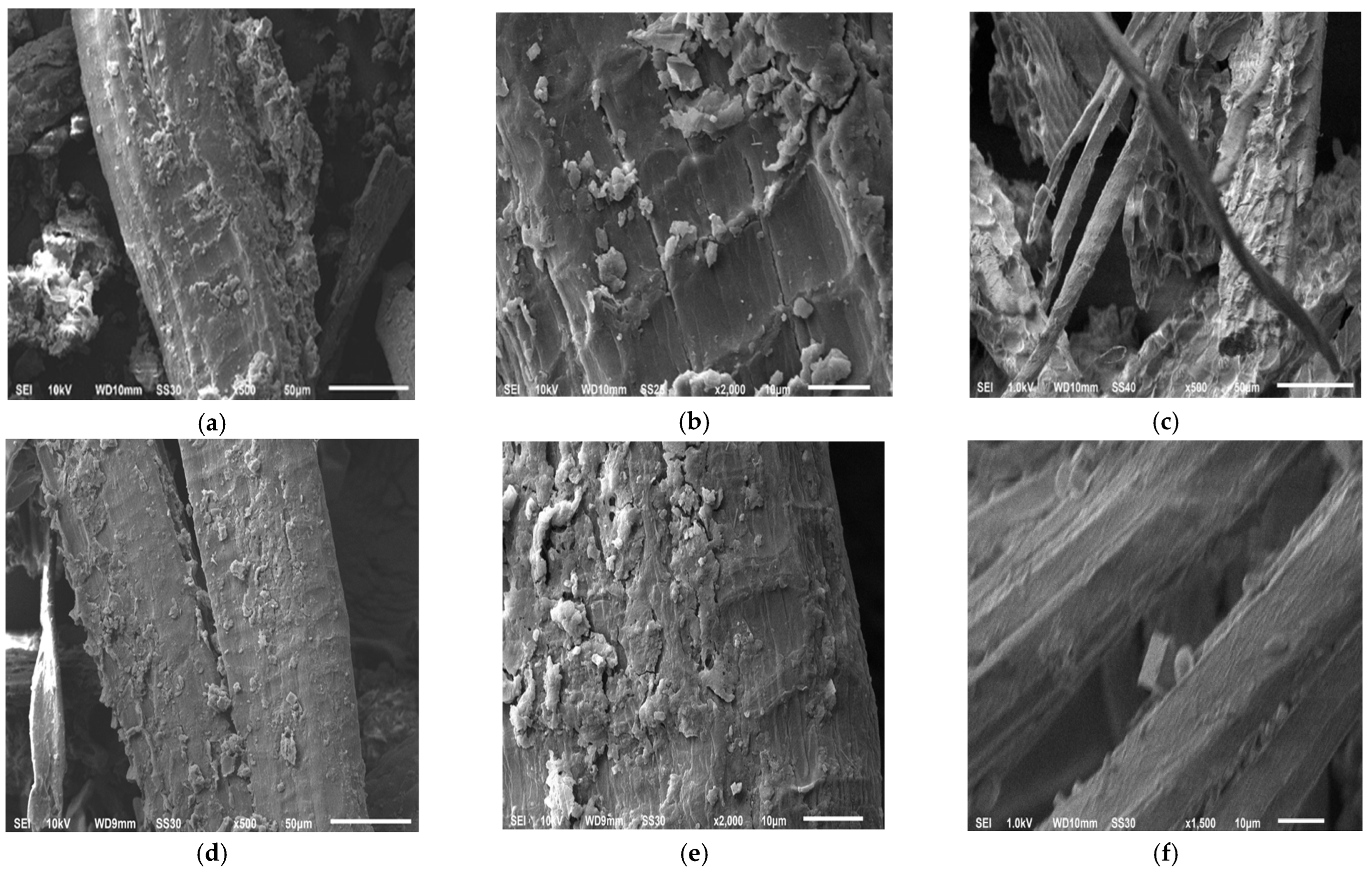 Sustainability 17 07188 g002 Sustainability 17 07188 g002