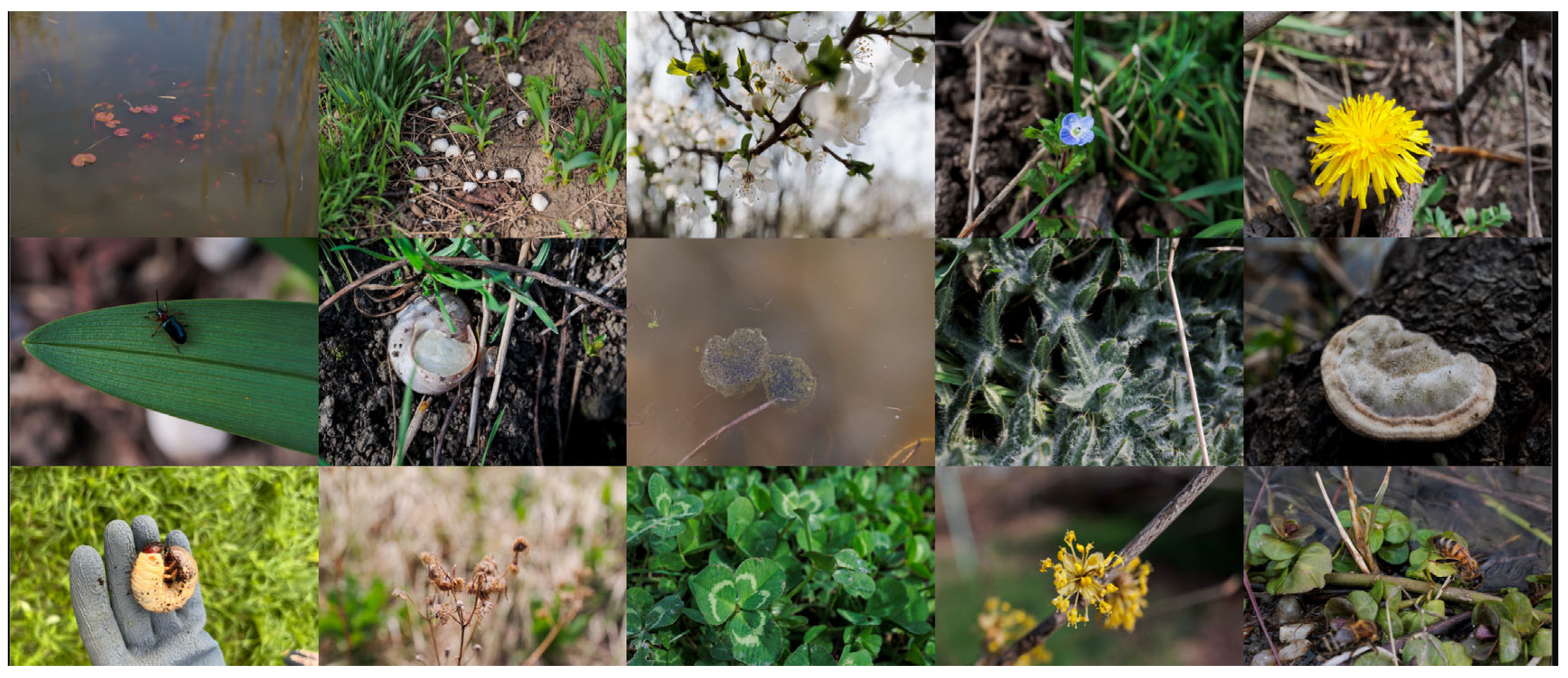 Sustainability 17 07220 g005