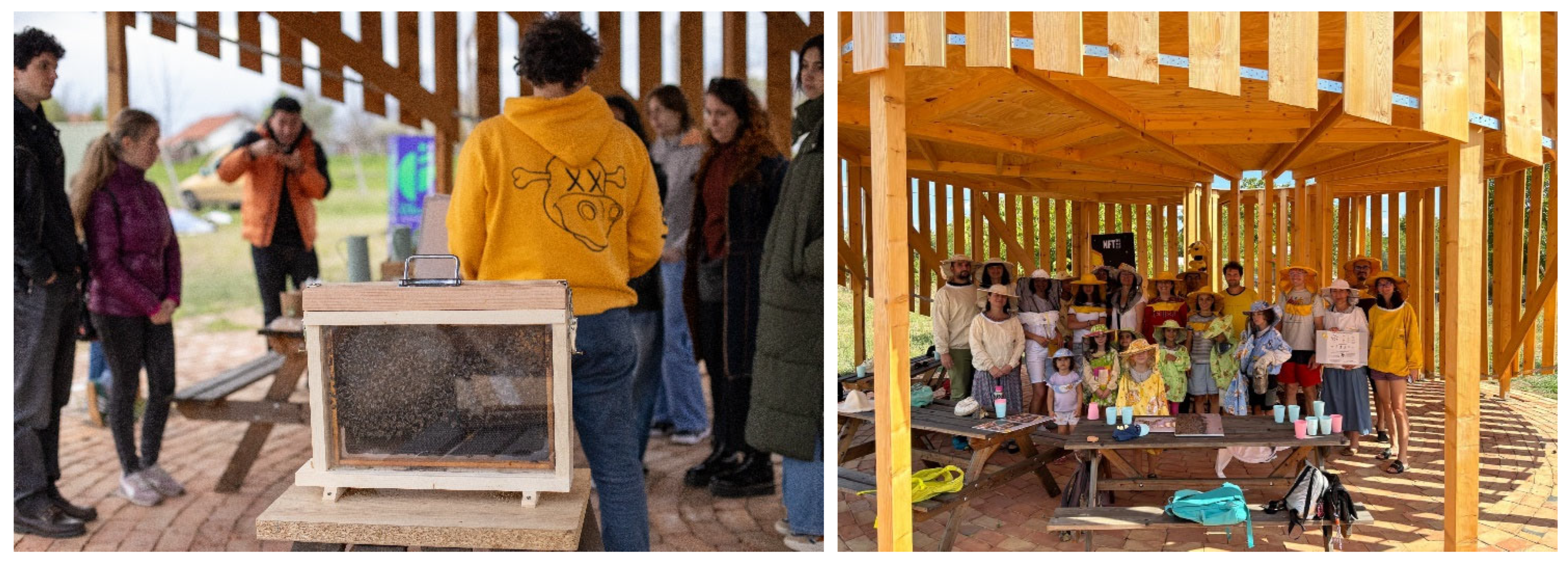 Sustainability 17 07220 g014