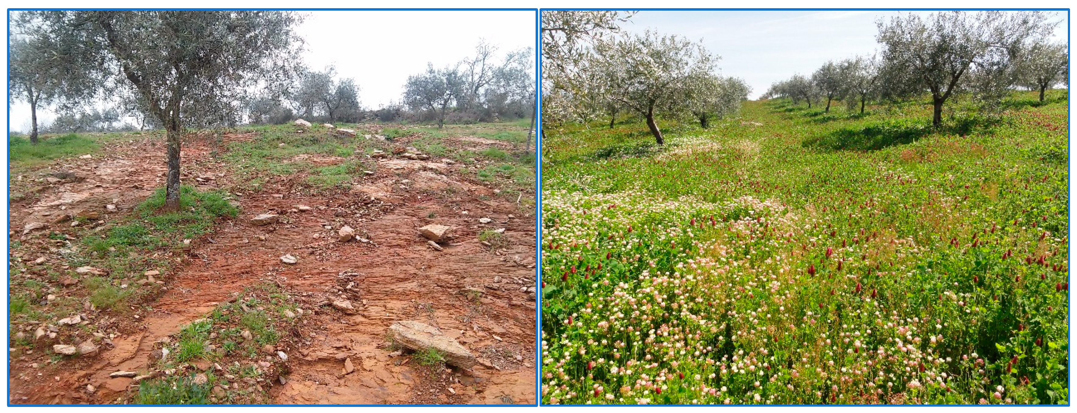 Sustainability 17 07235 g001