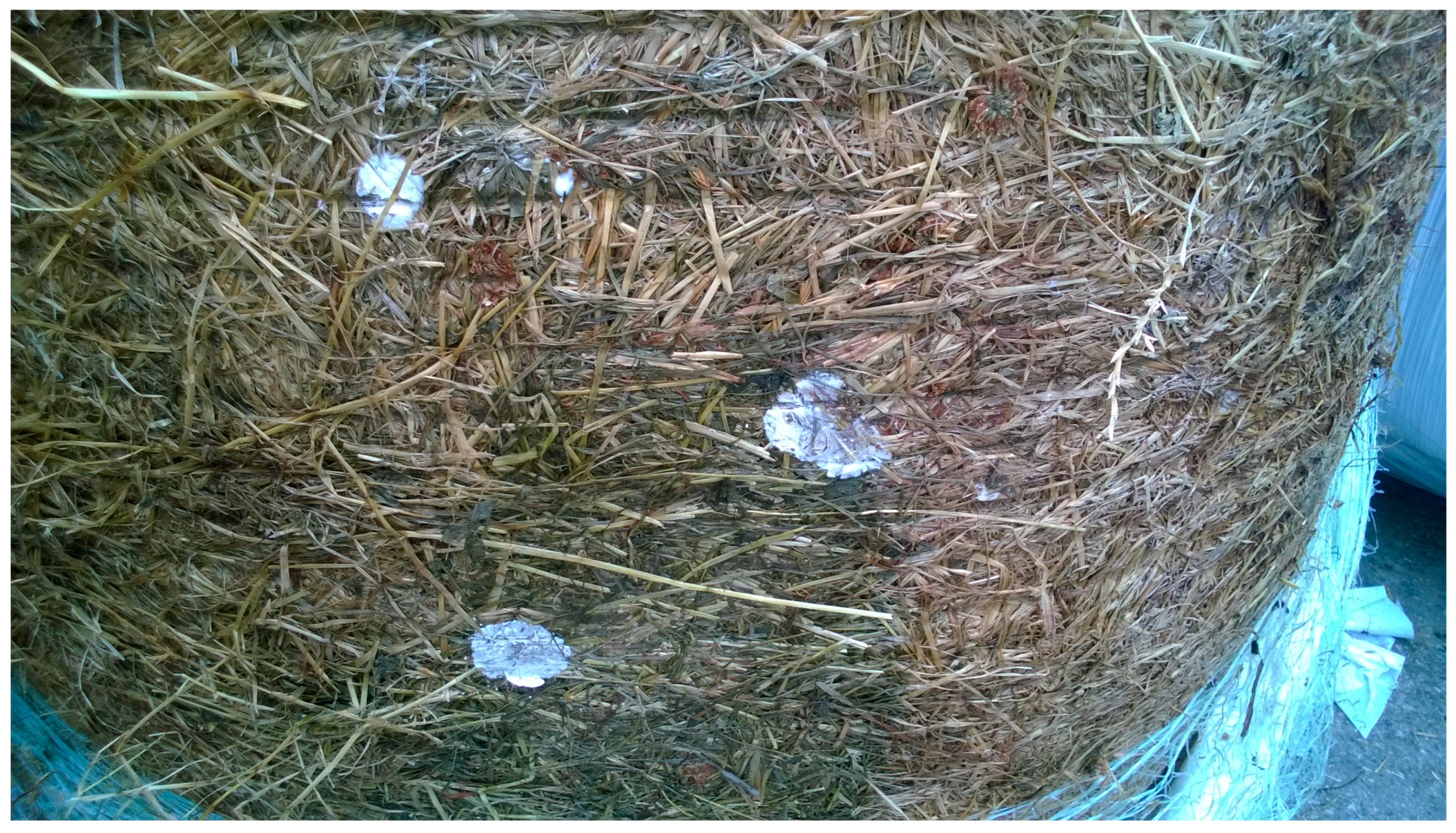 Sustainability 17 07240 g003 Sustainability 17 07240 g003