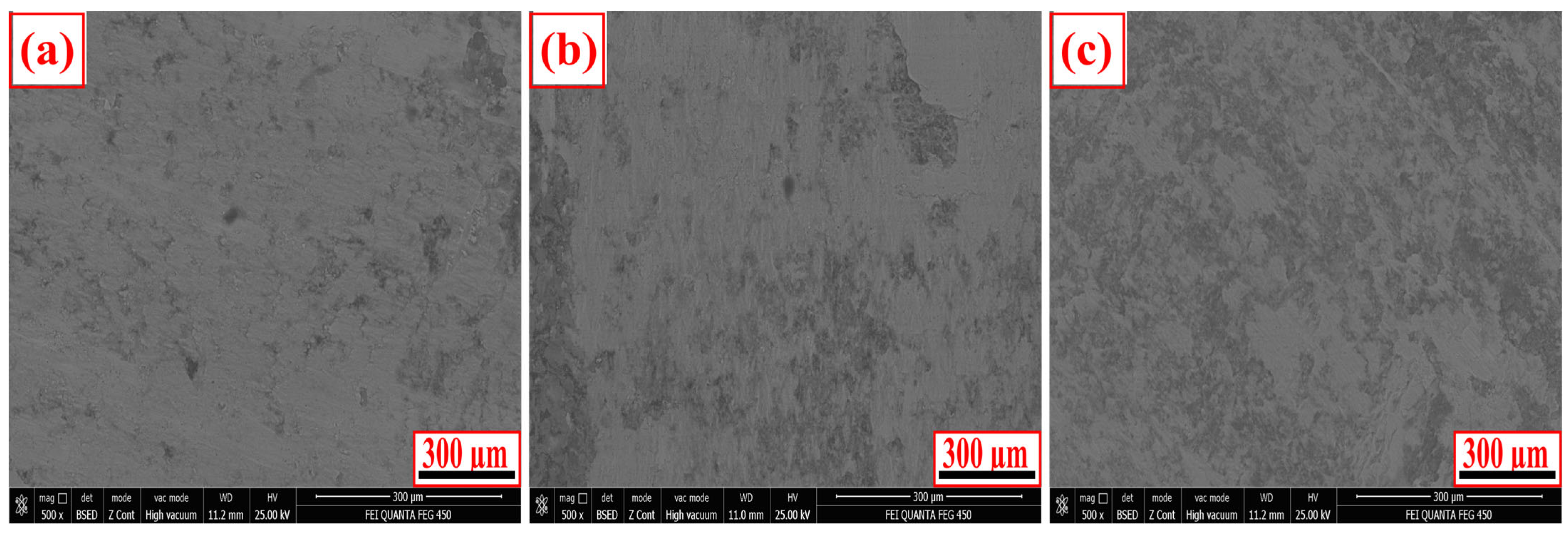 Sustainability 17 07249 g007 Sustainability 17 07249 g007