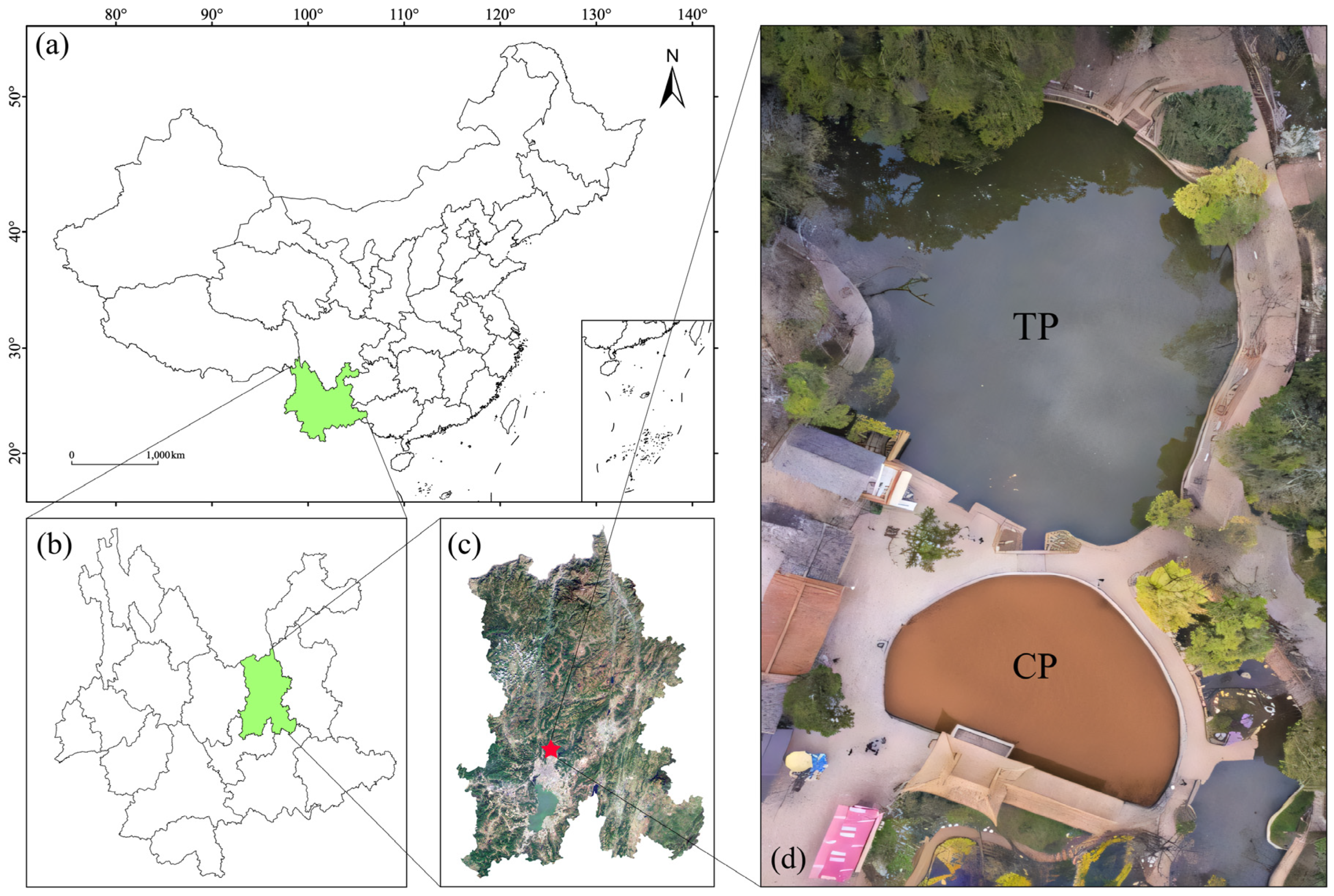 Sustainability 17 07255 g001 Sustainability 17 07255 g001