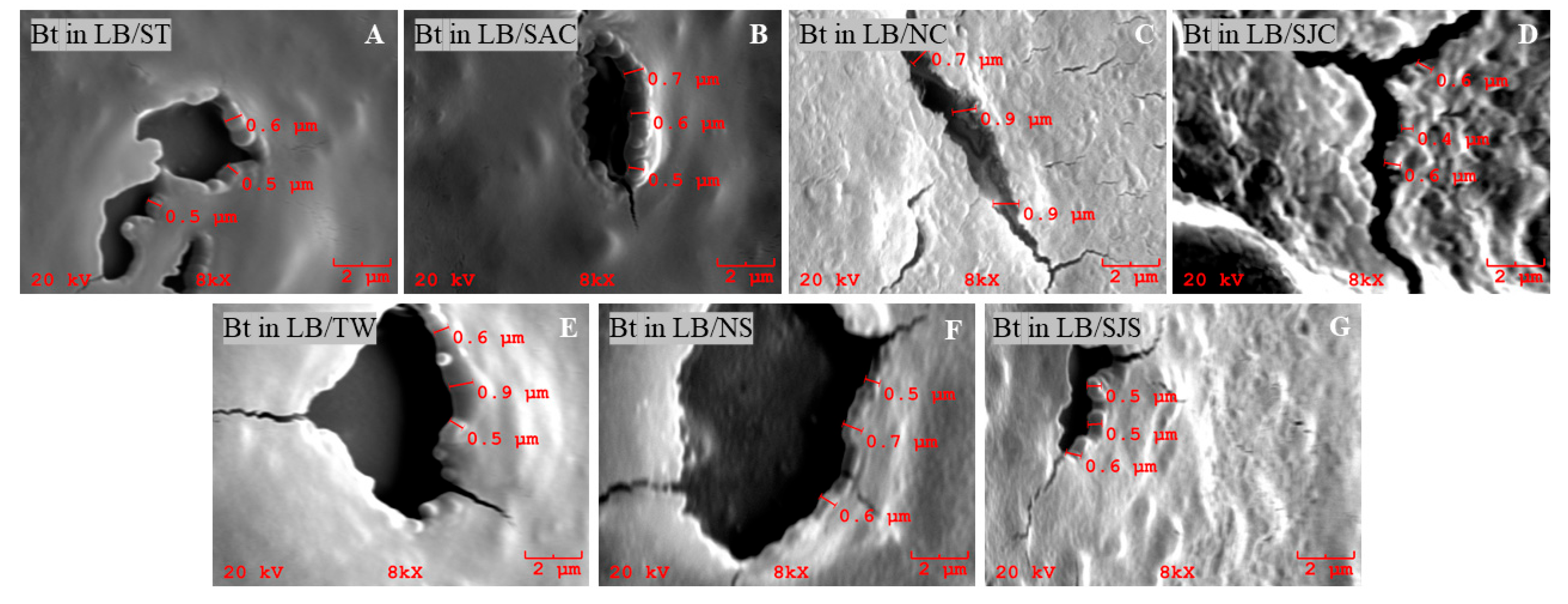 Sustainability 17 07272 g004 Sustainability 17 07272 g004