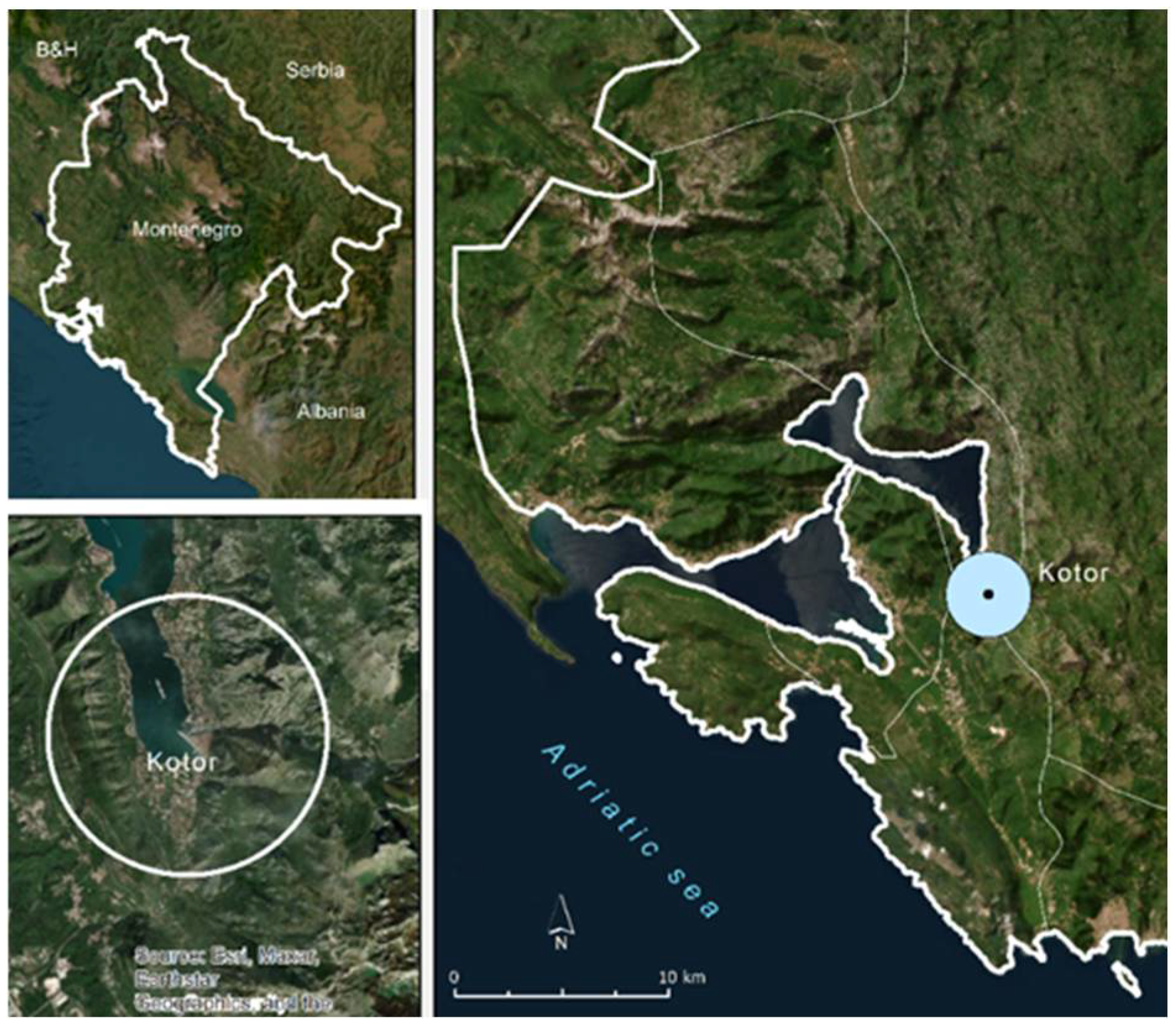 Sustainability 17 07386 g001