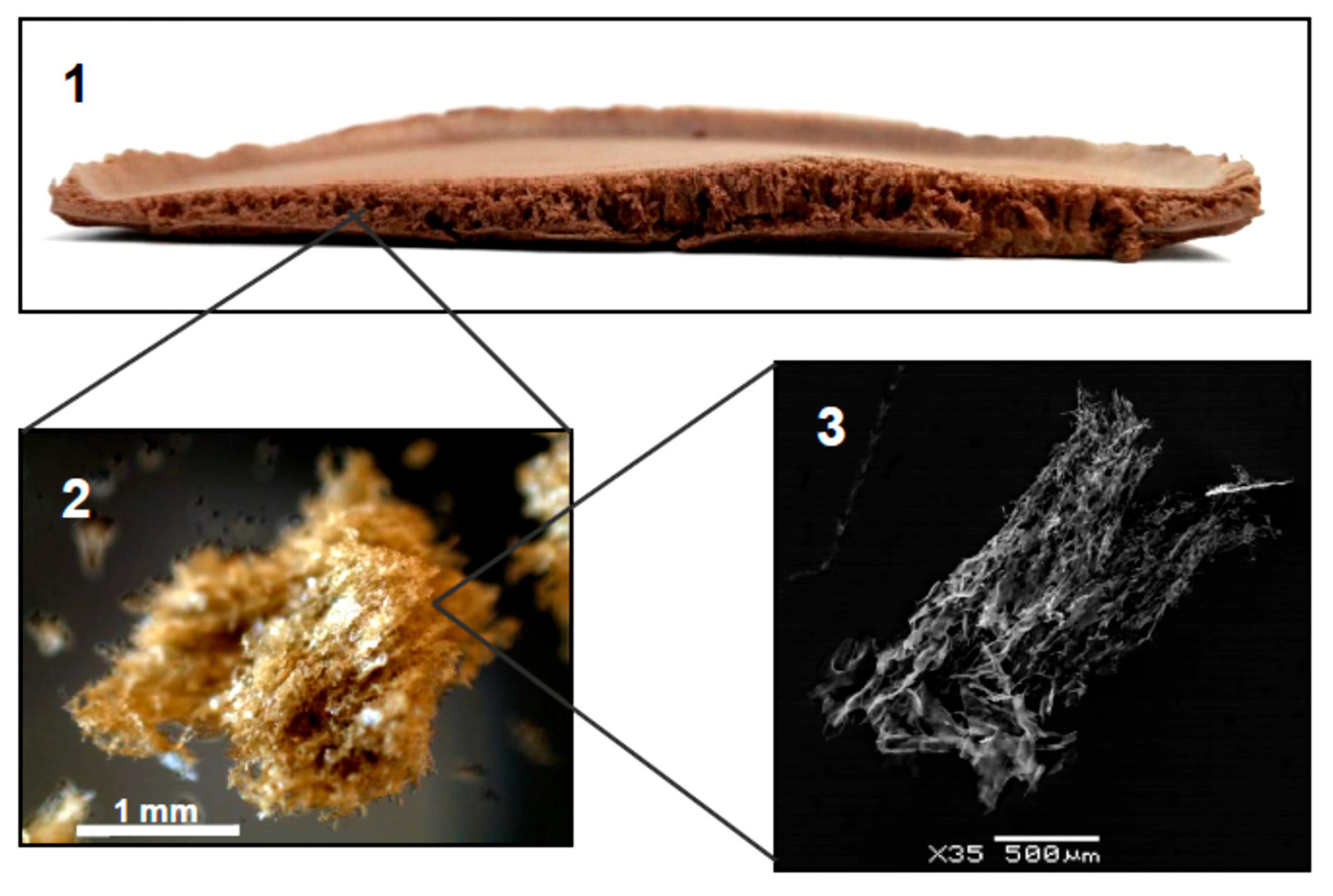 Sustainability 17 07414 g001