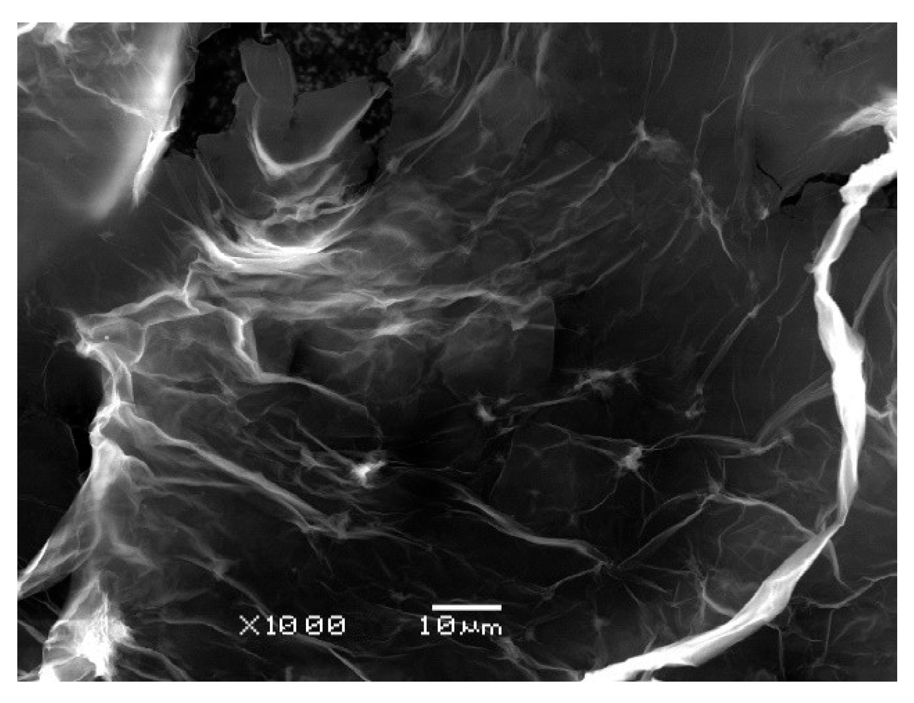 Sustainability 17 07414 g002