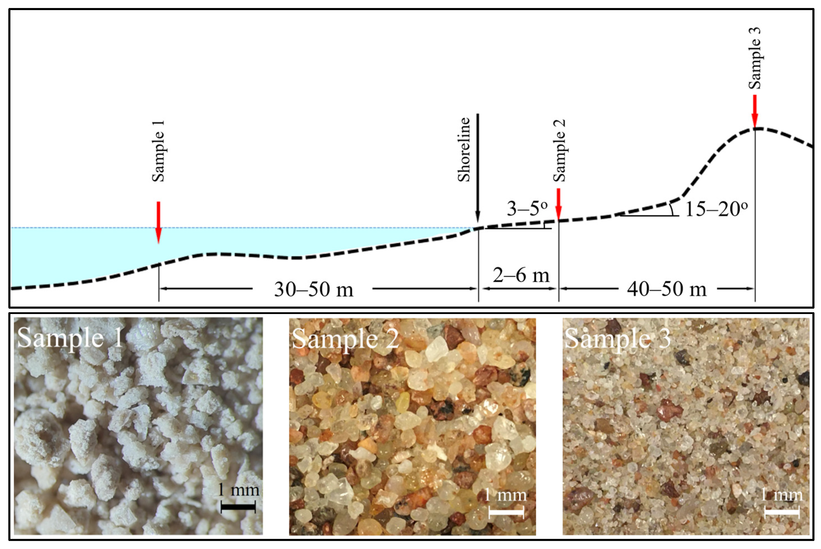 Sustainability 17 07441 g002
