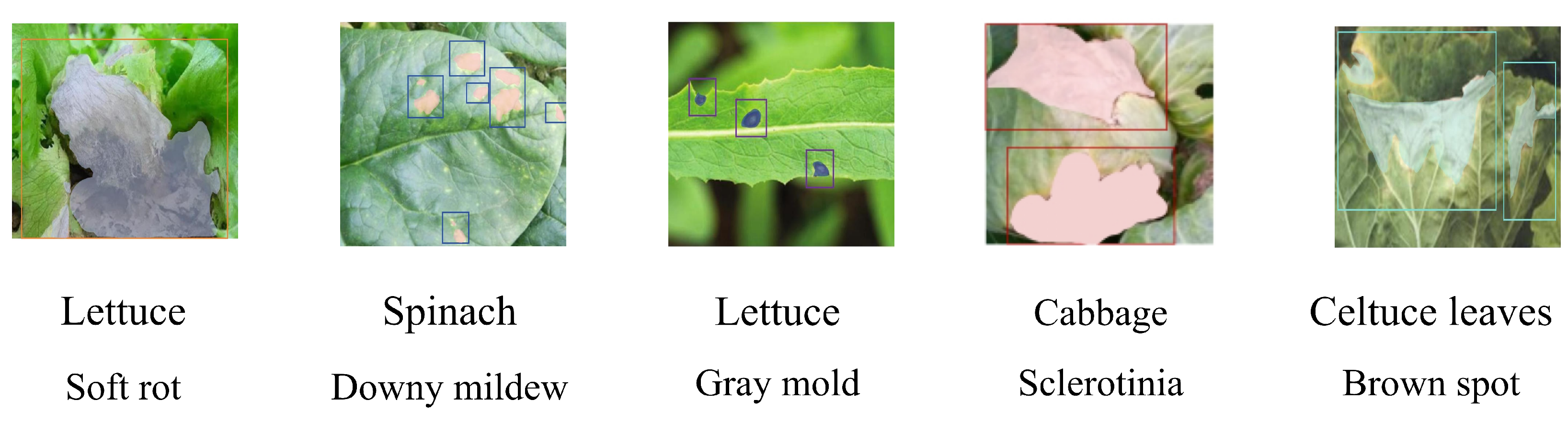 ダウニー Evotech Tail Tidy | Kawasaki Ninja ZX-6R 40th Anniversary