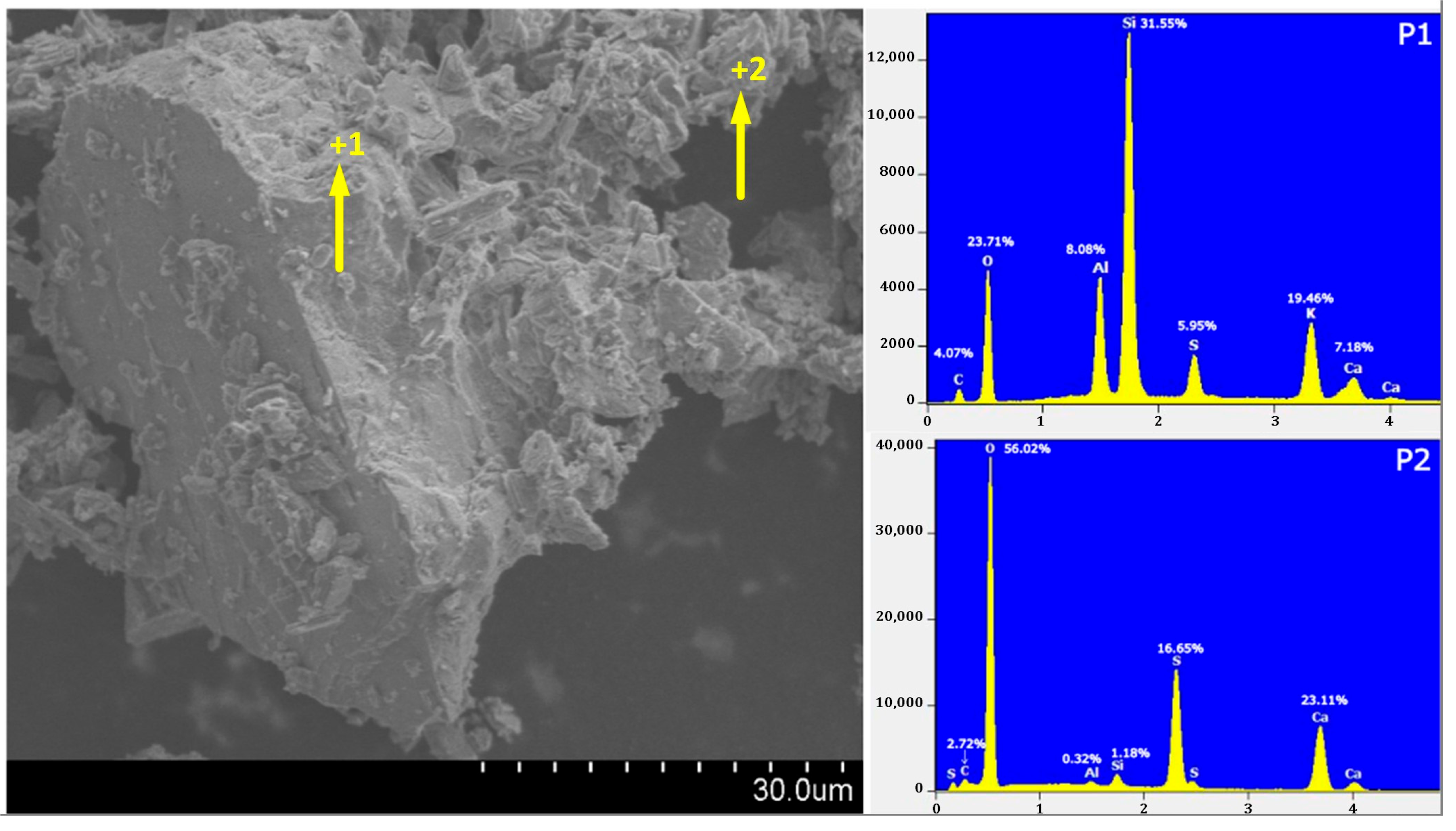 Sustainability 17 07452 g010