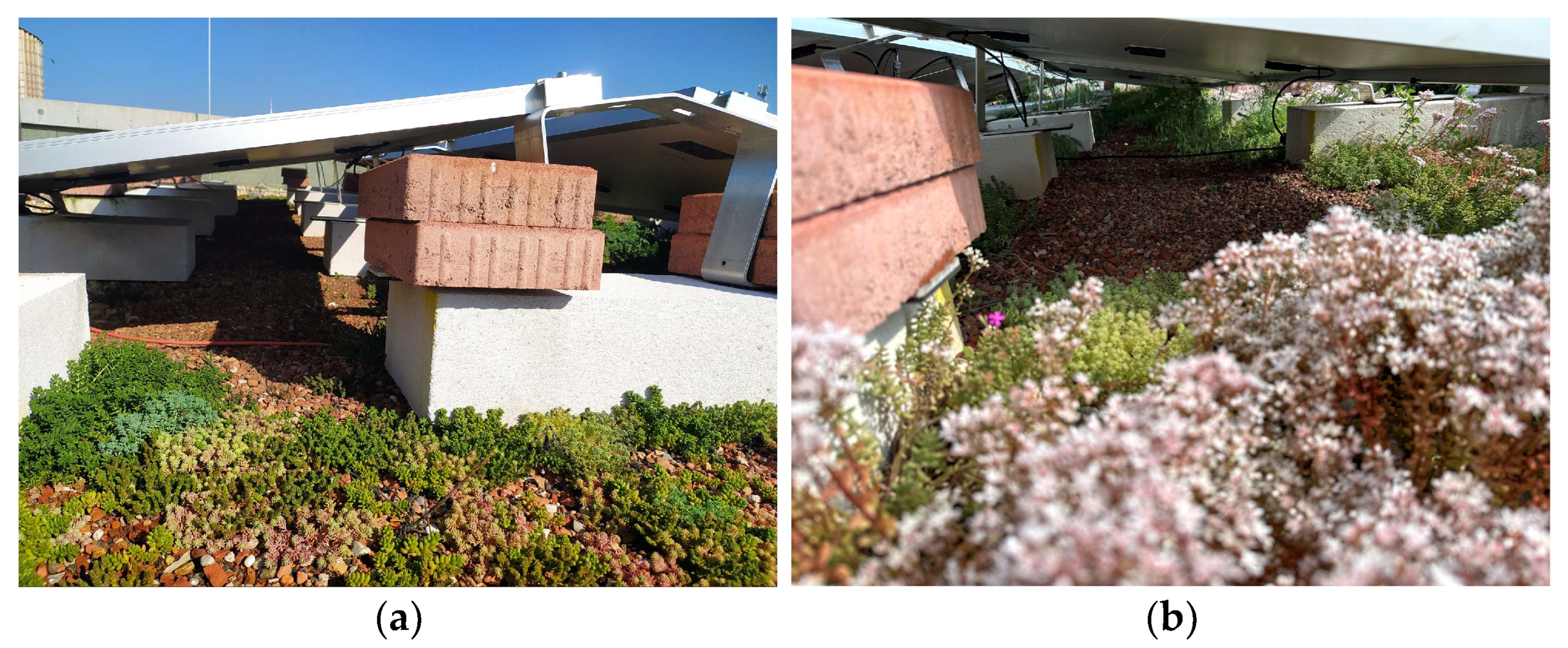 Sustainability 17 07495 g006