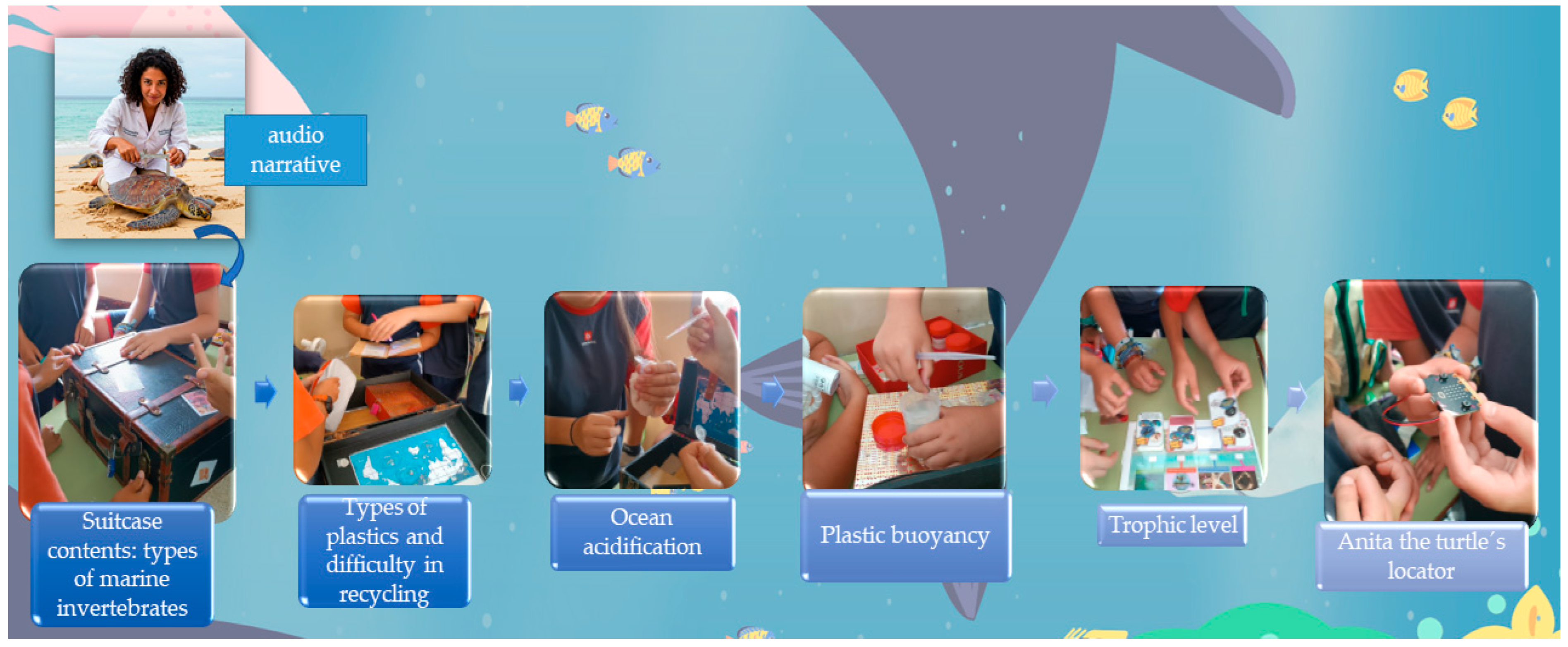 Sustainability 17 07528 g005