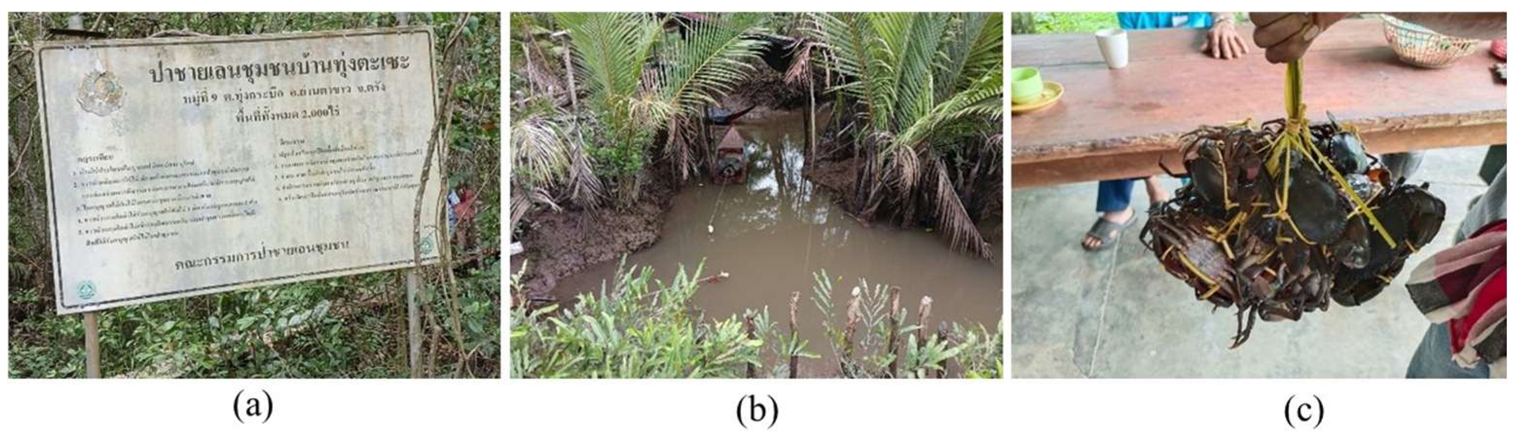 Sustainability 17 07649 g003