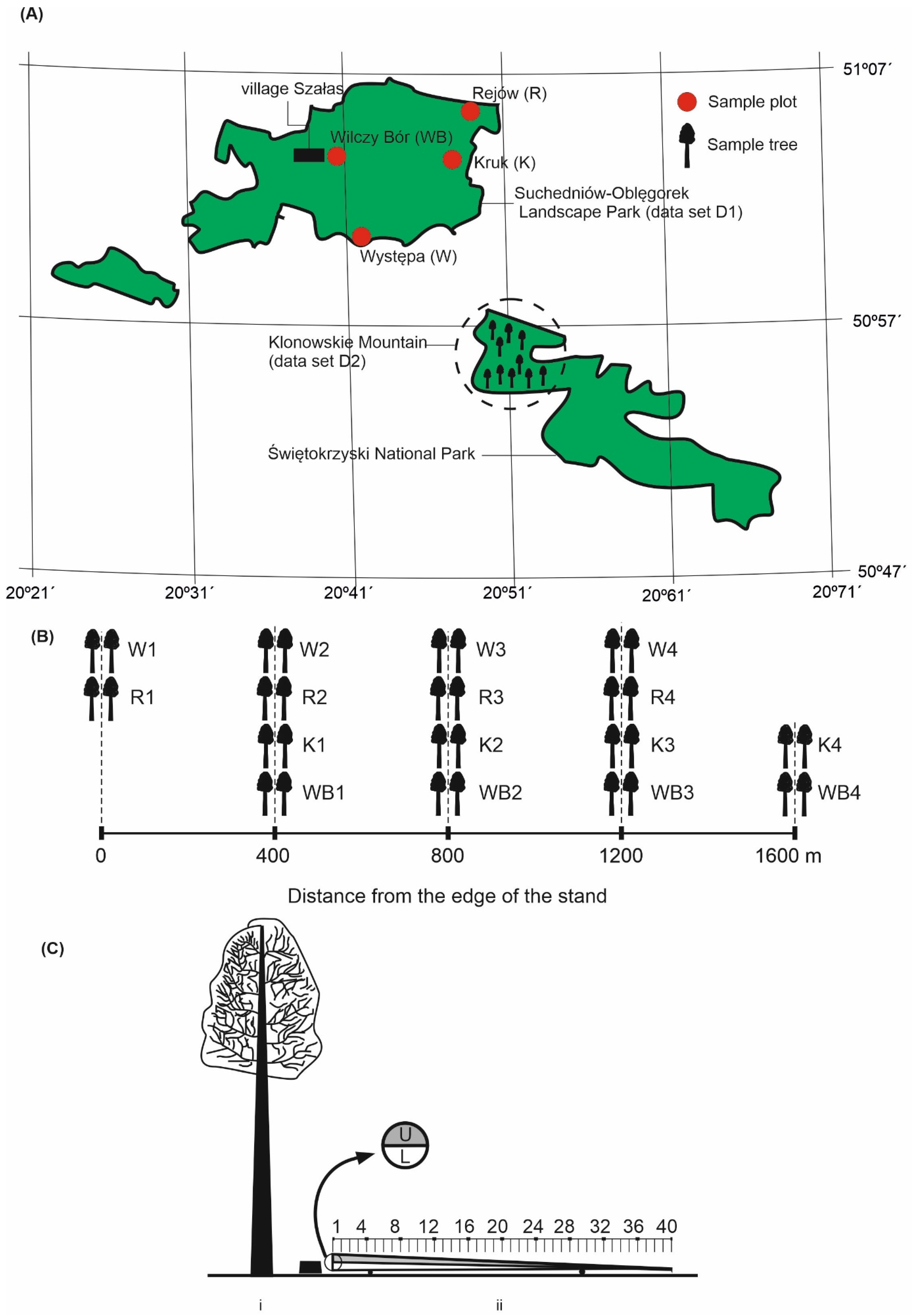 Sustainability 17 07744 g001 Sustainability 17 07744 g001