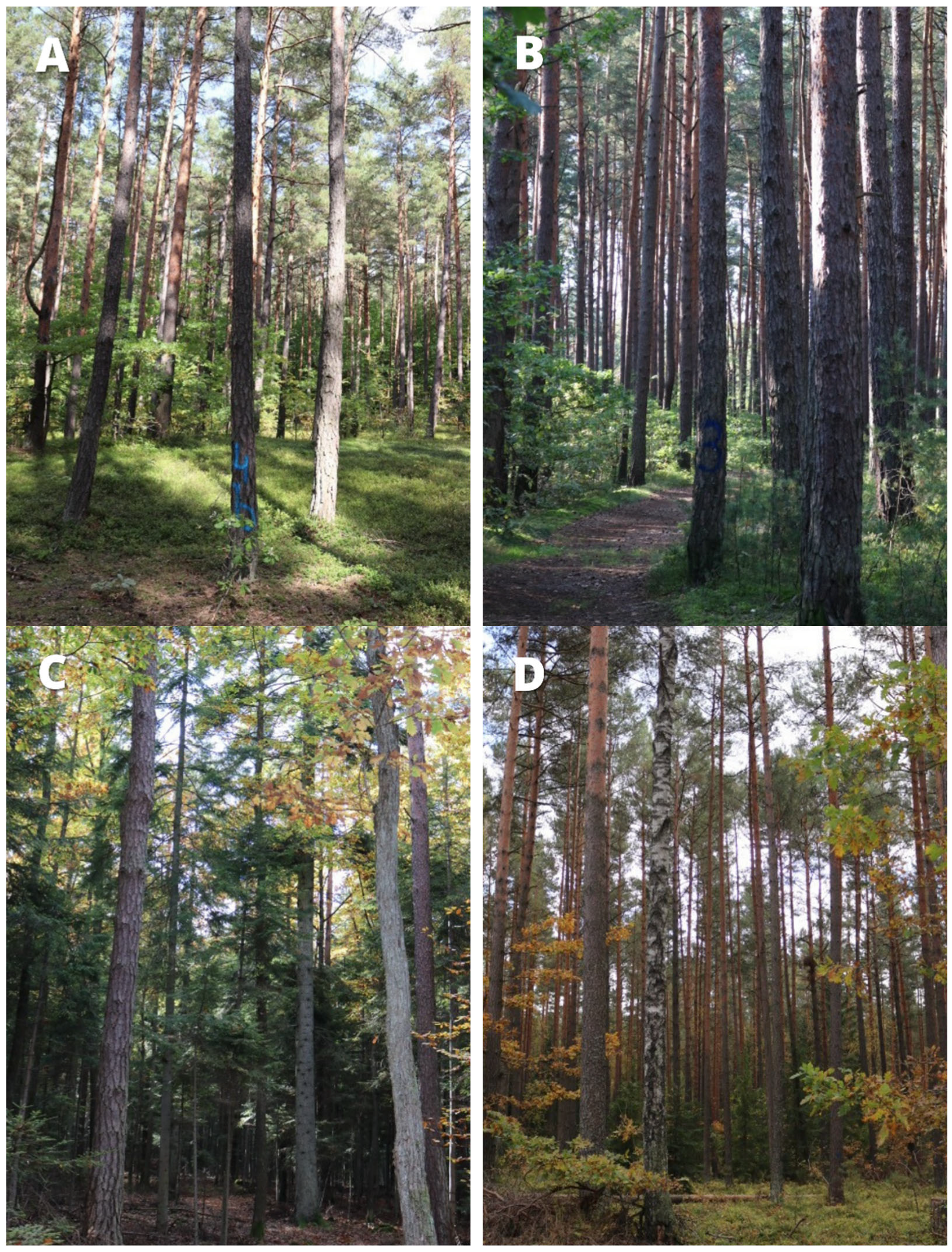 Sustainability 17 07744 g002 Sustainability 17 07744 g002