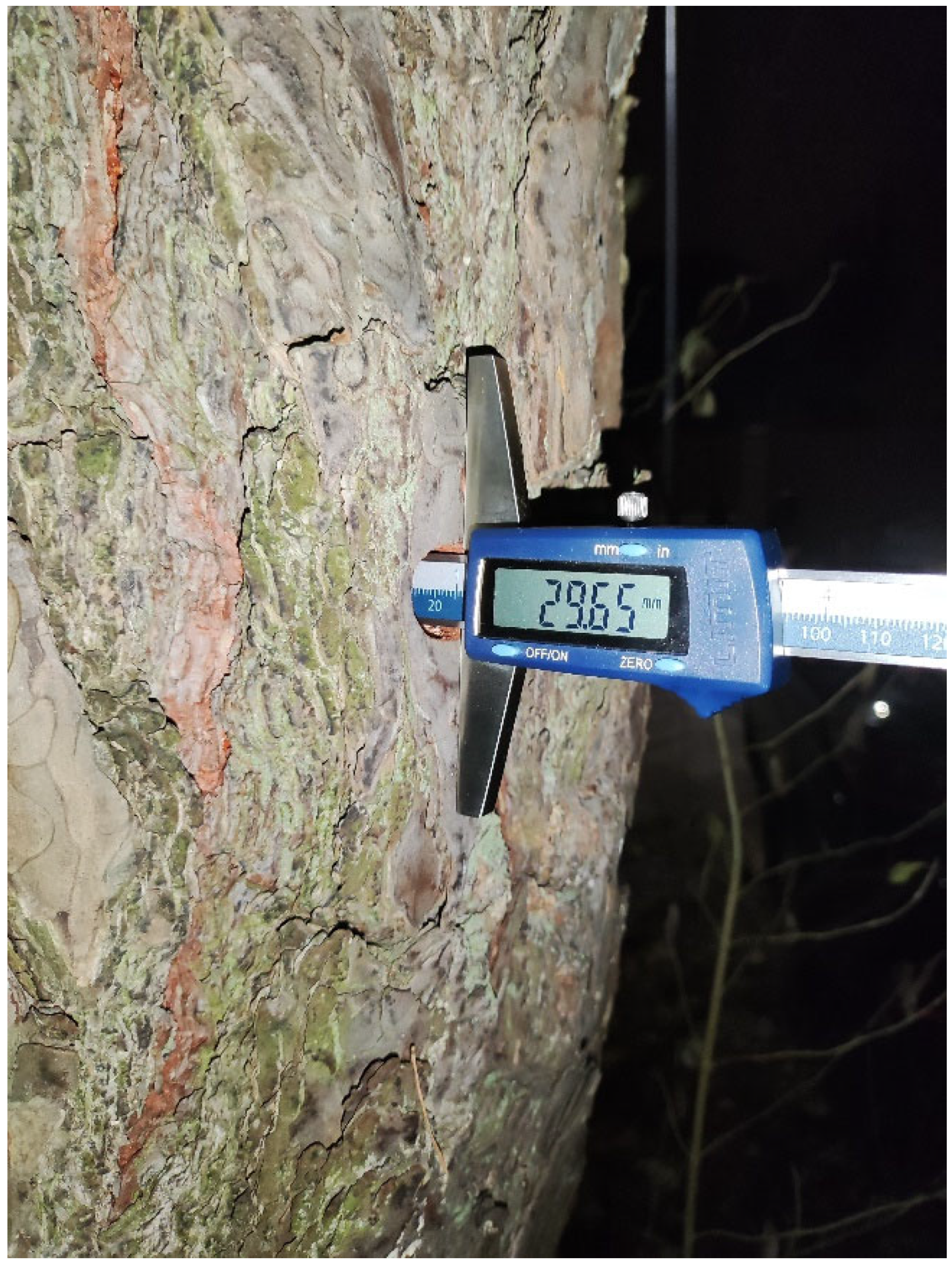 Sustainability 17 07744 g003 Sustainability 17 07744 g003