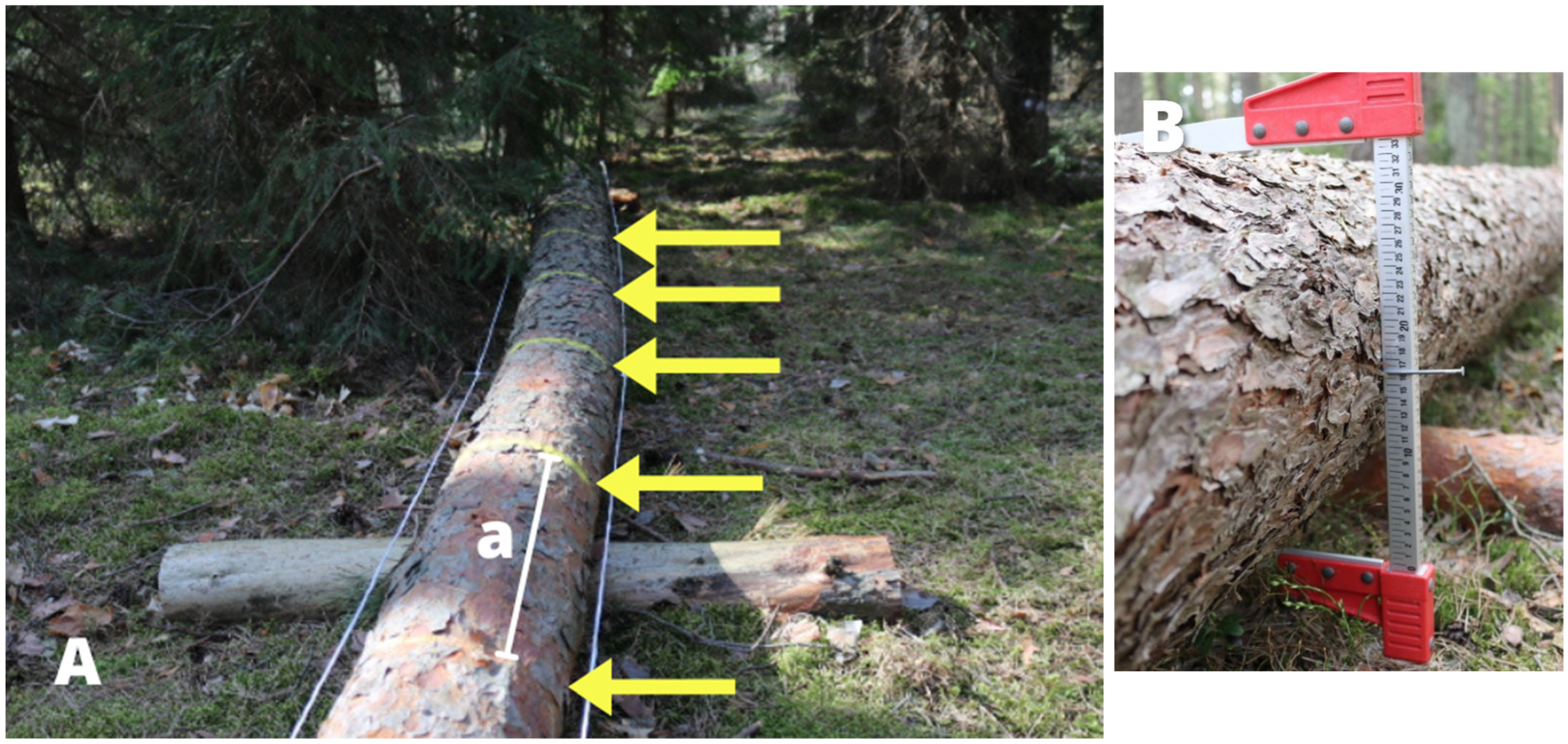 Sustainability 17 07744 g004 Sustainability 17 07744 g004