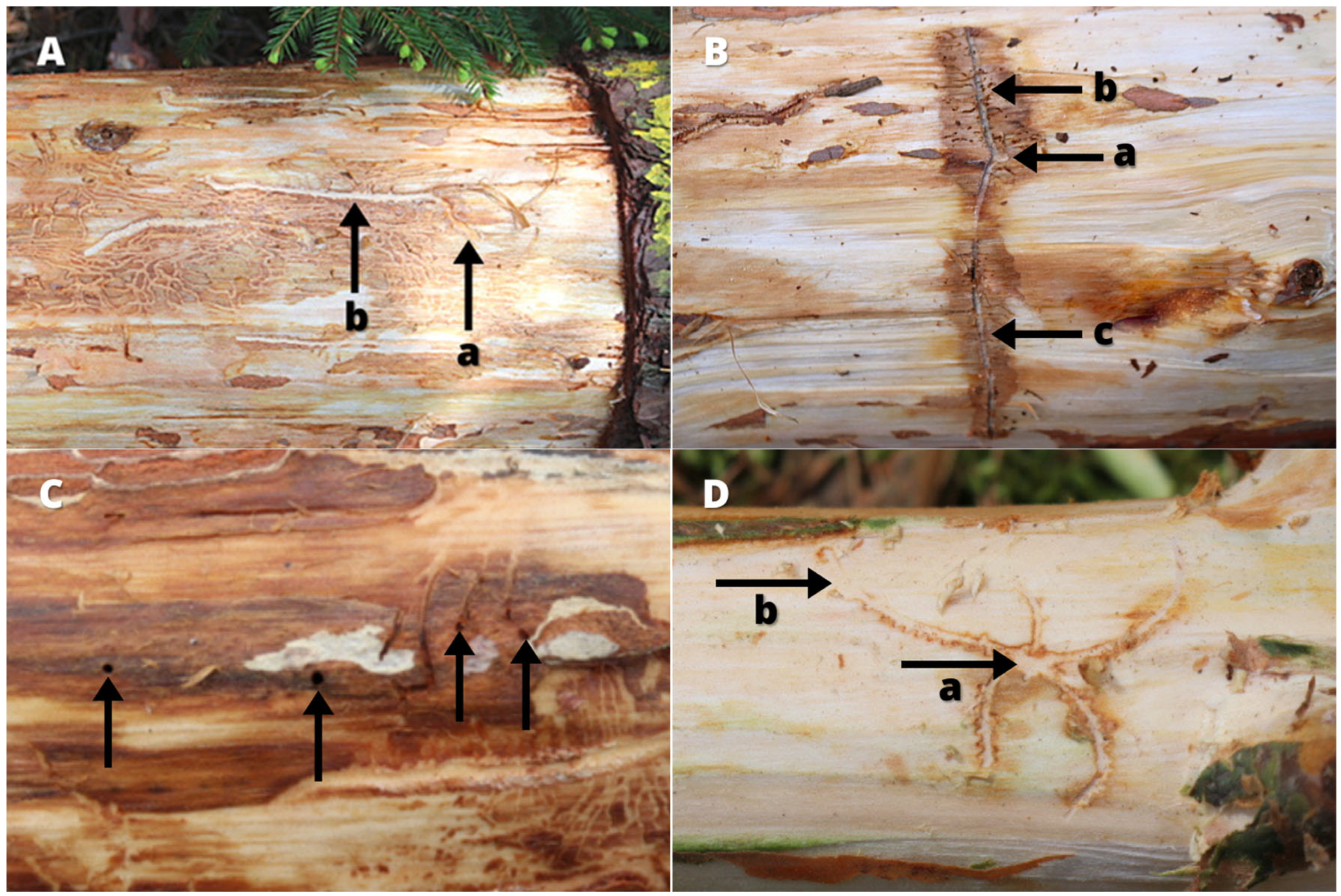 Sustainability 17 07744 g005 Sustainability 17 07744 g005