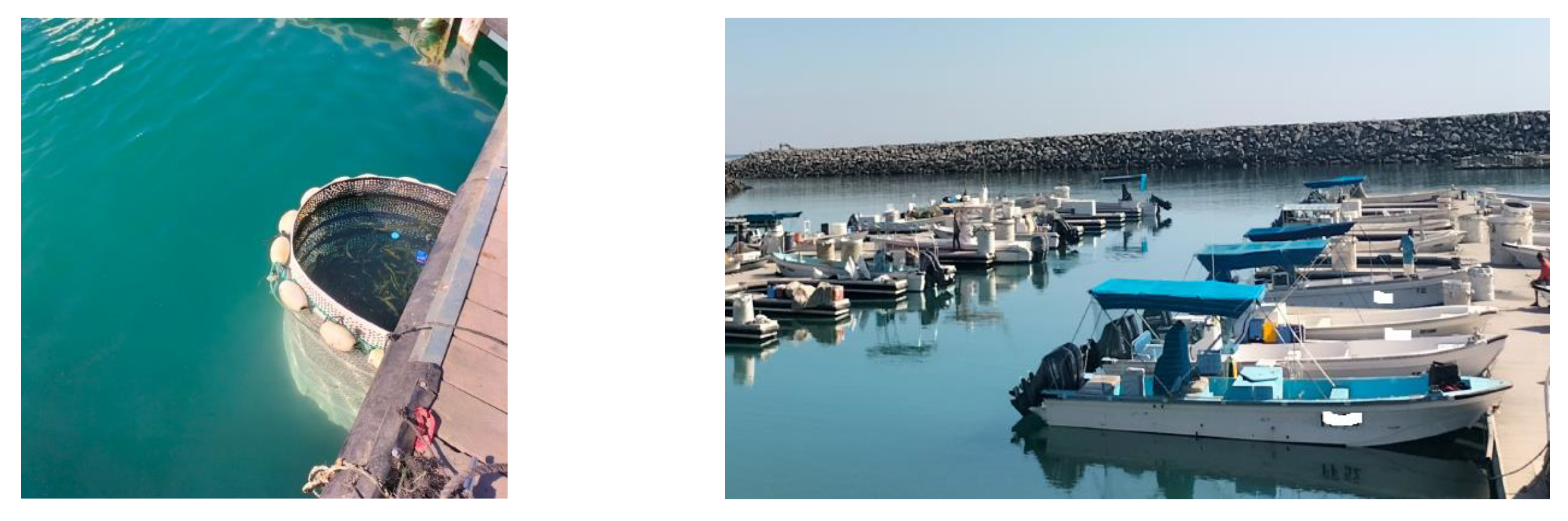 Sustainability 17 07889 g006