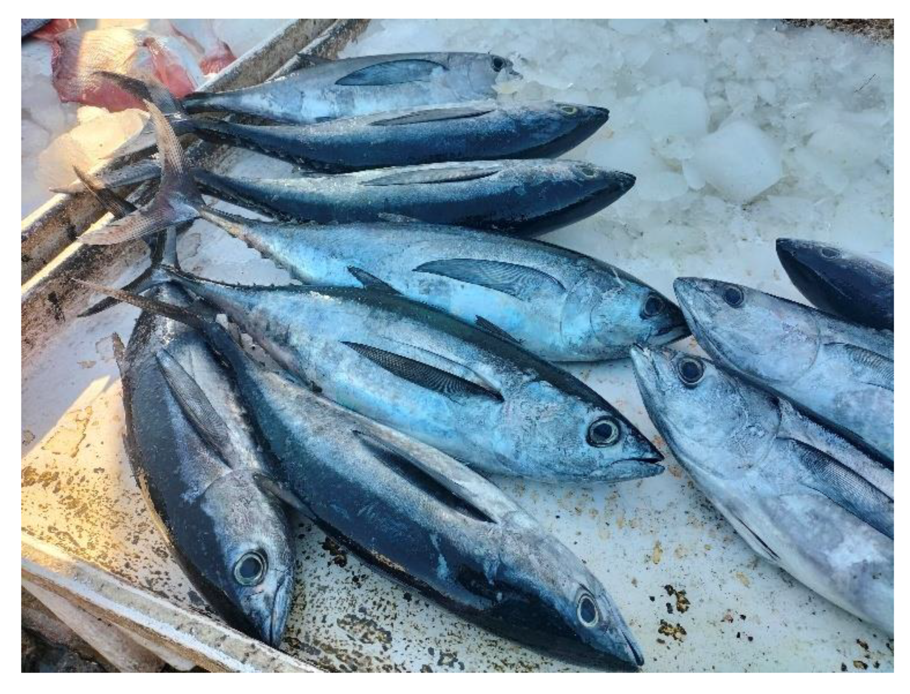 Sustainability 17 07889 g009