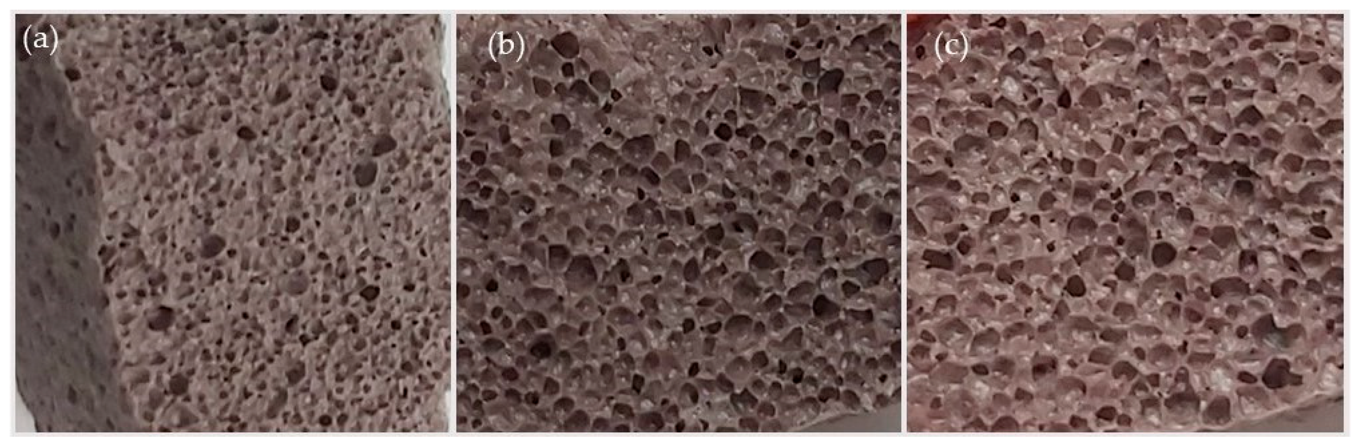 Sustainability 17 07966 g005