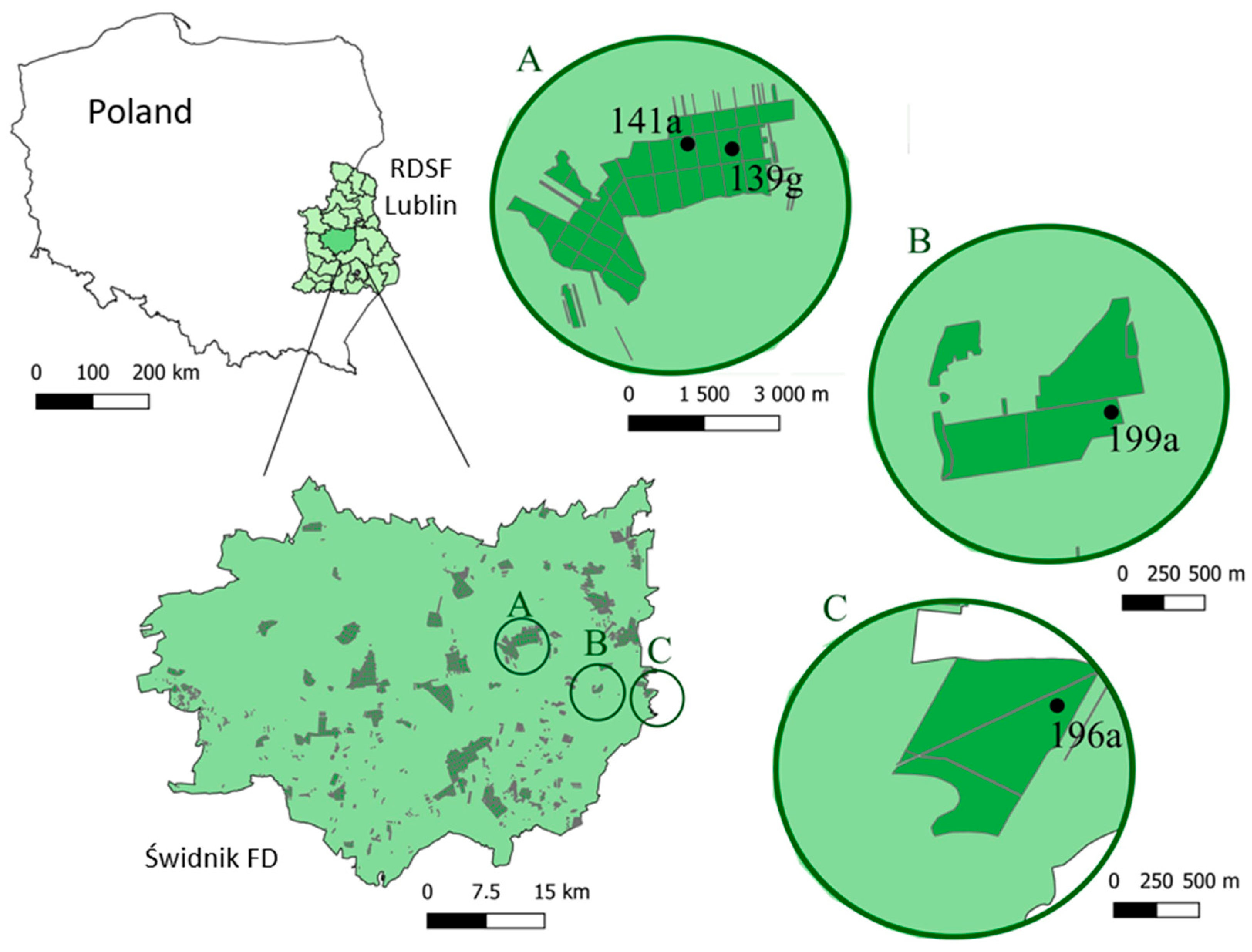 Sustainability 17 08011 g001 Sustainability 17 08011 g001