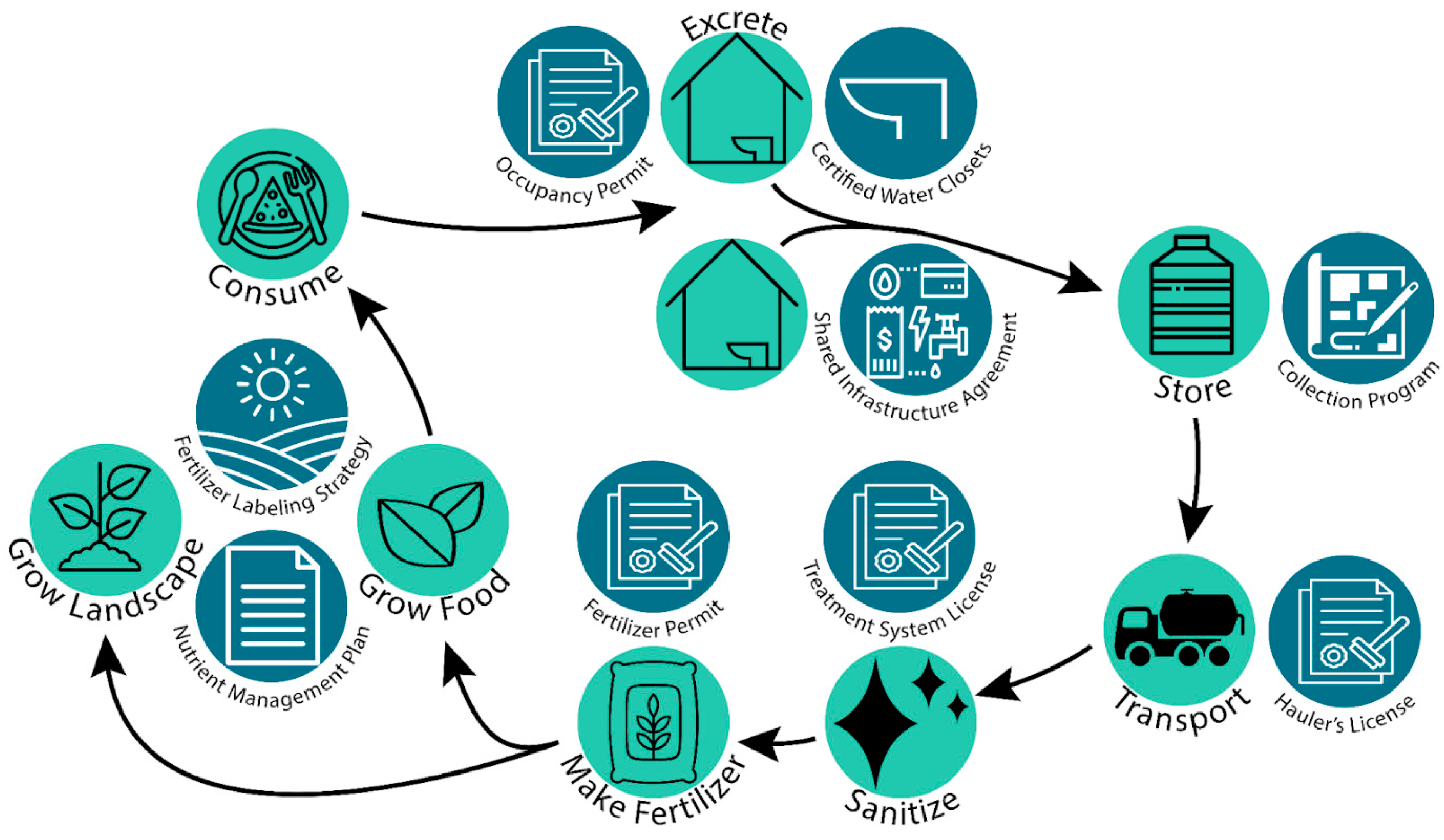Examining Regulatory Pathways That Enable and Constrain Urine