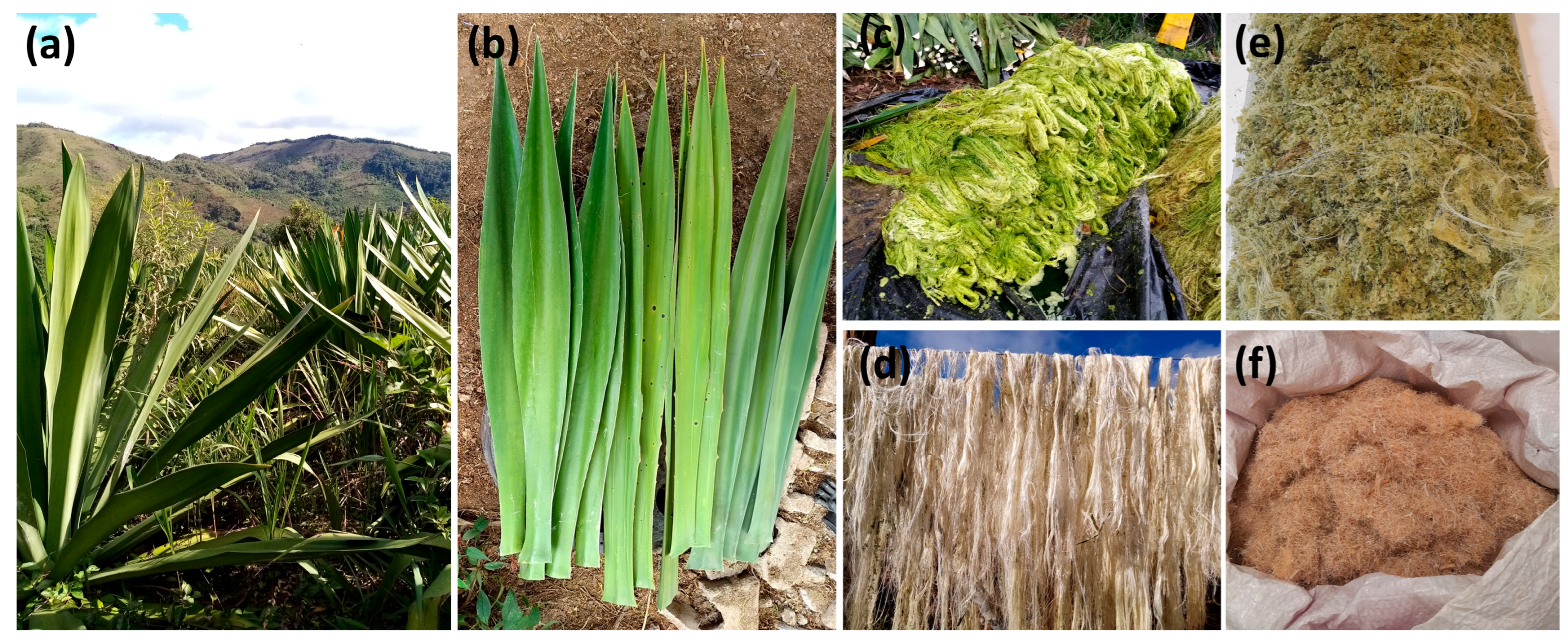 Sustainability 17 08032 g001