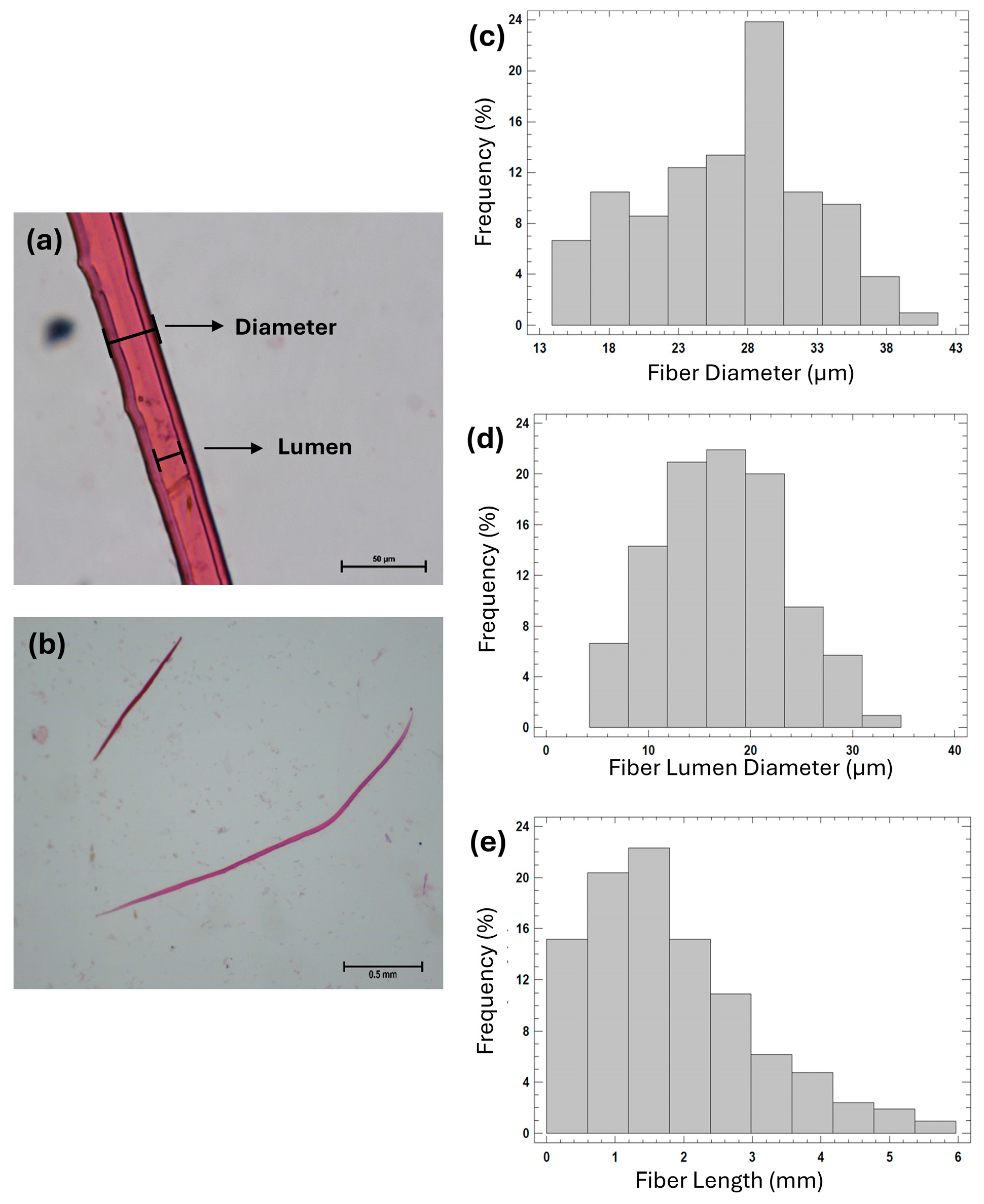 Sustainability 17 08032 g002