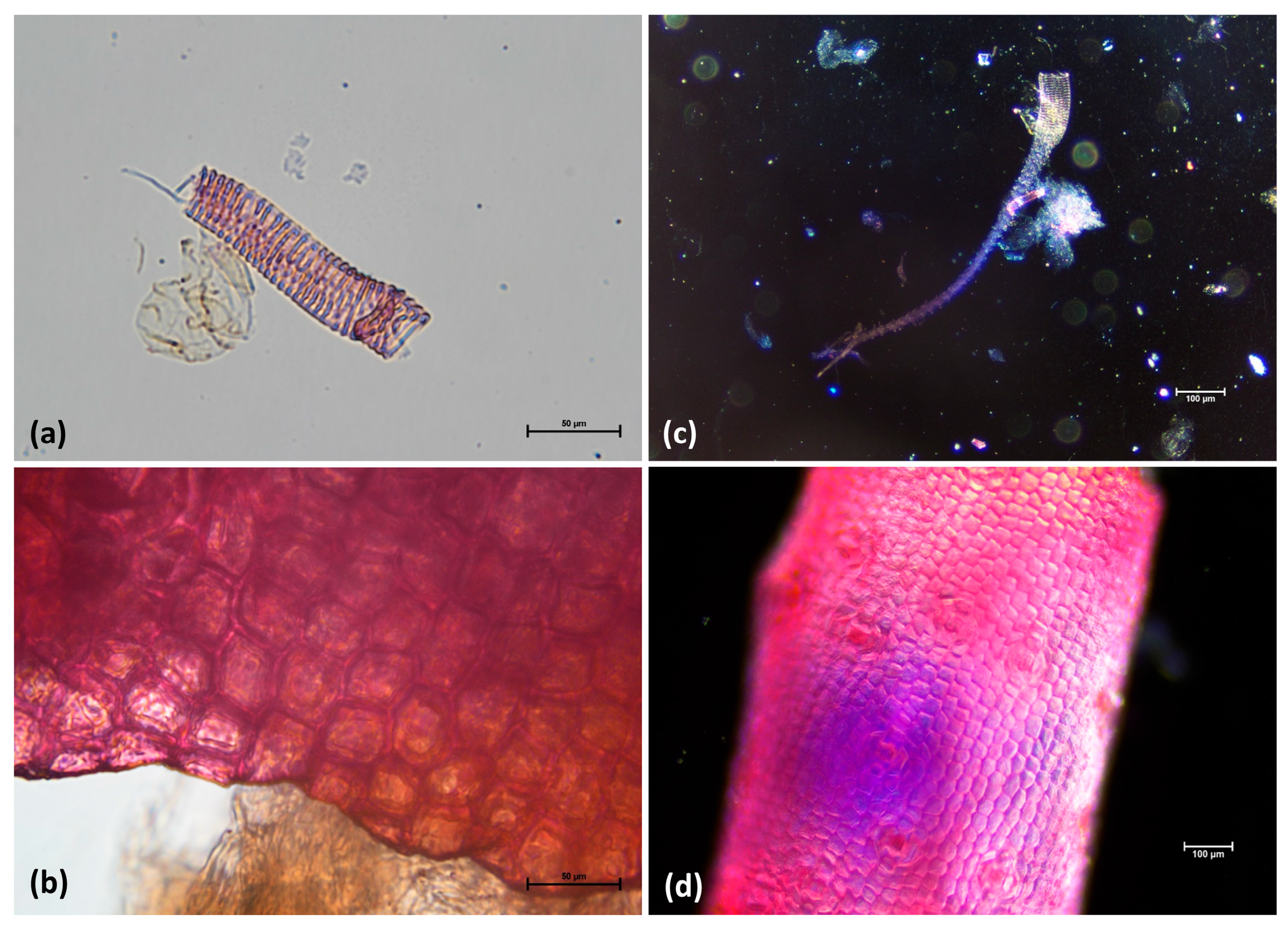 Sustainability 17 08032 g003