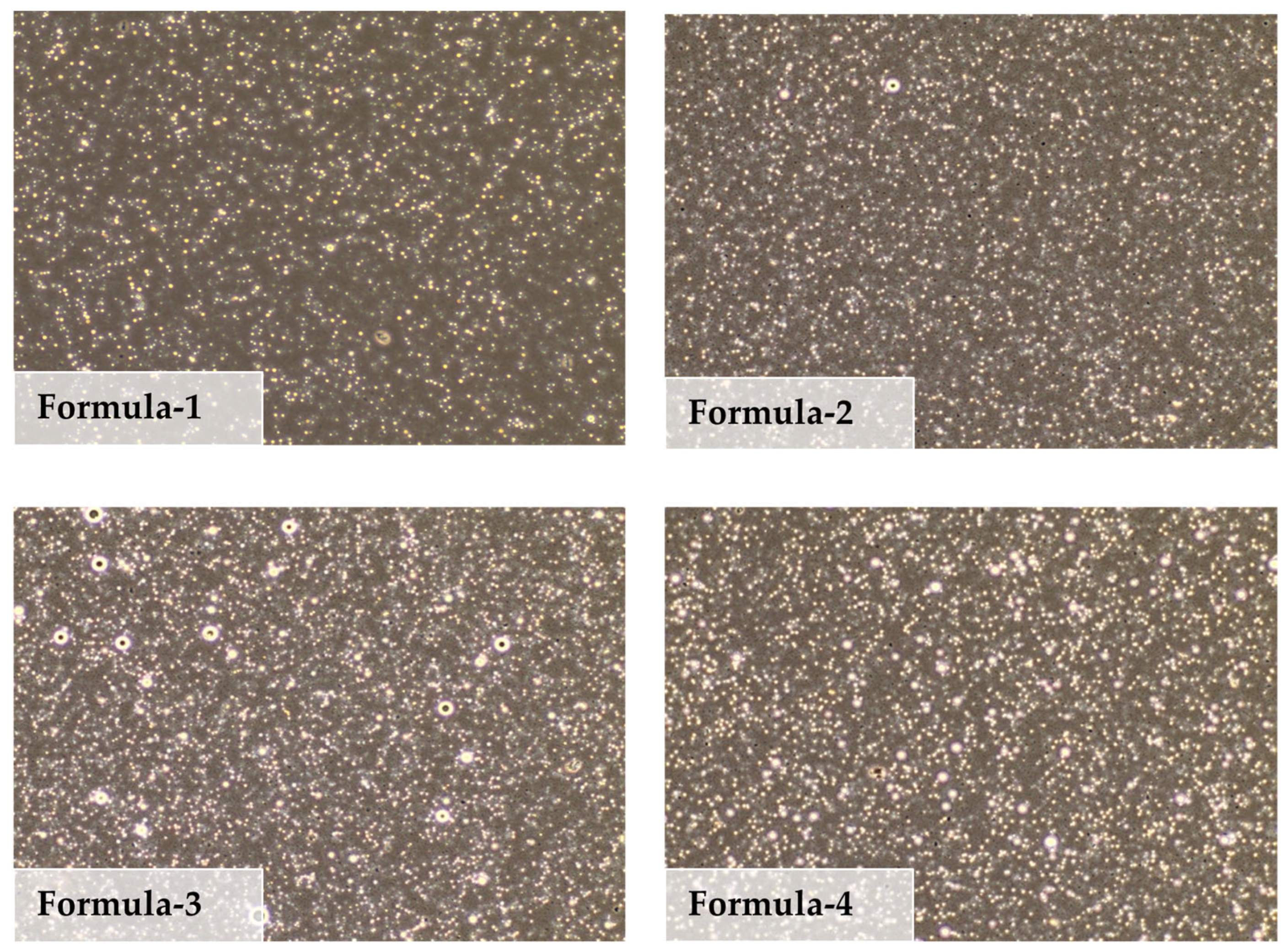 Sustainability 17 08152 g001